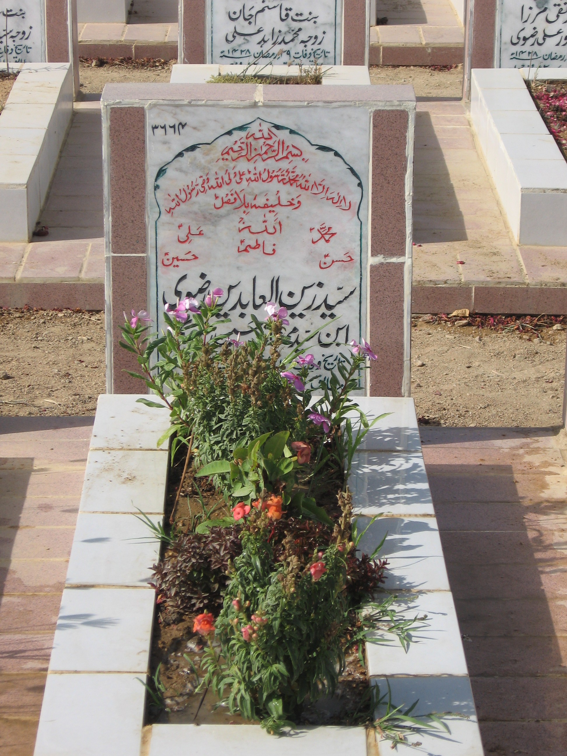 3664 – Syed Zain-ul-abideen Rizvi