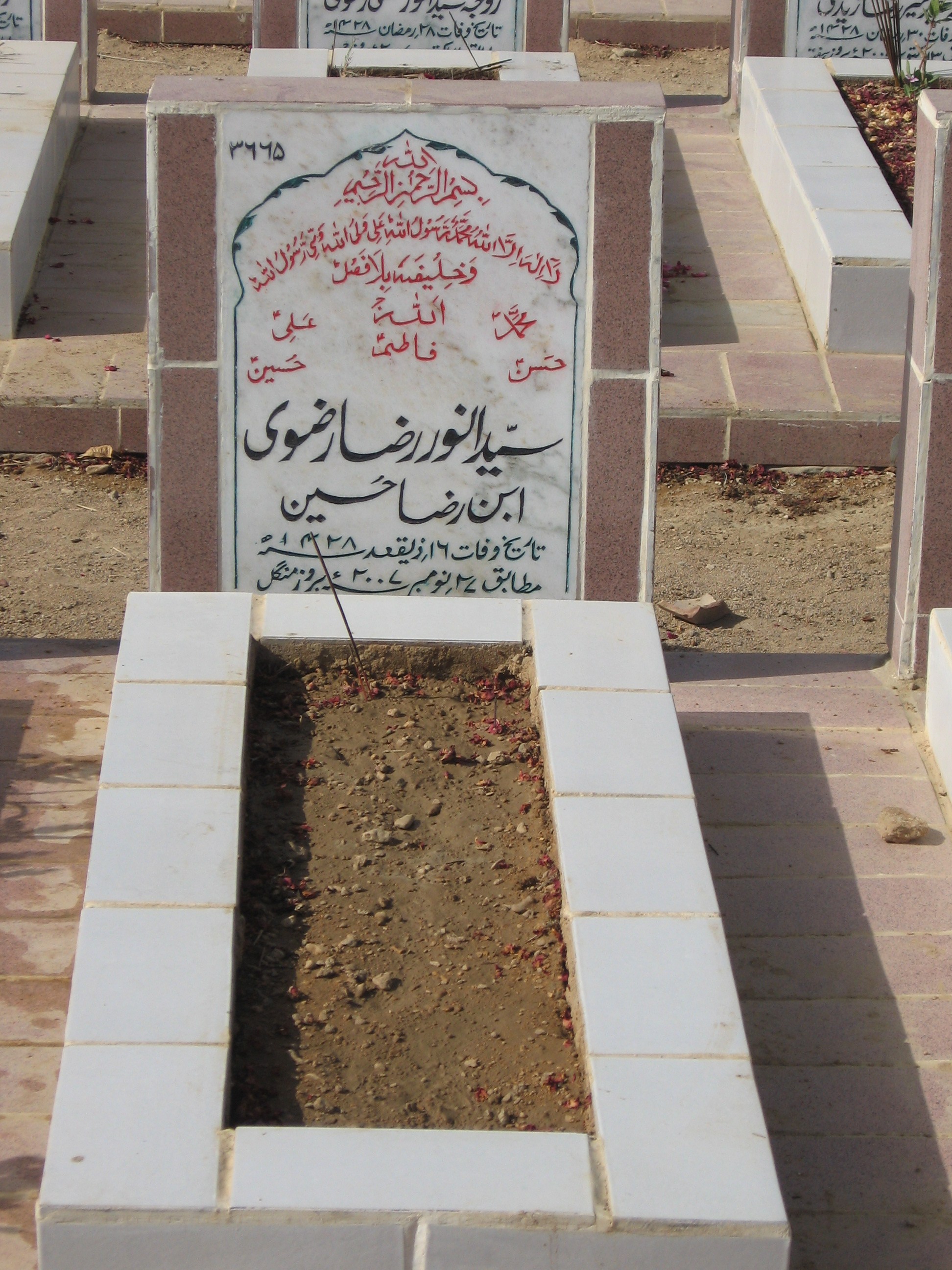 3665 – Syed Anwer Raza Rizvi