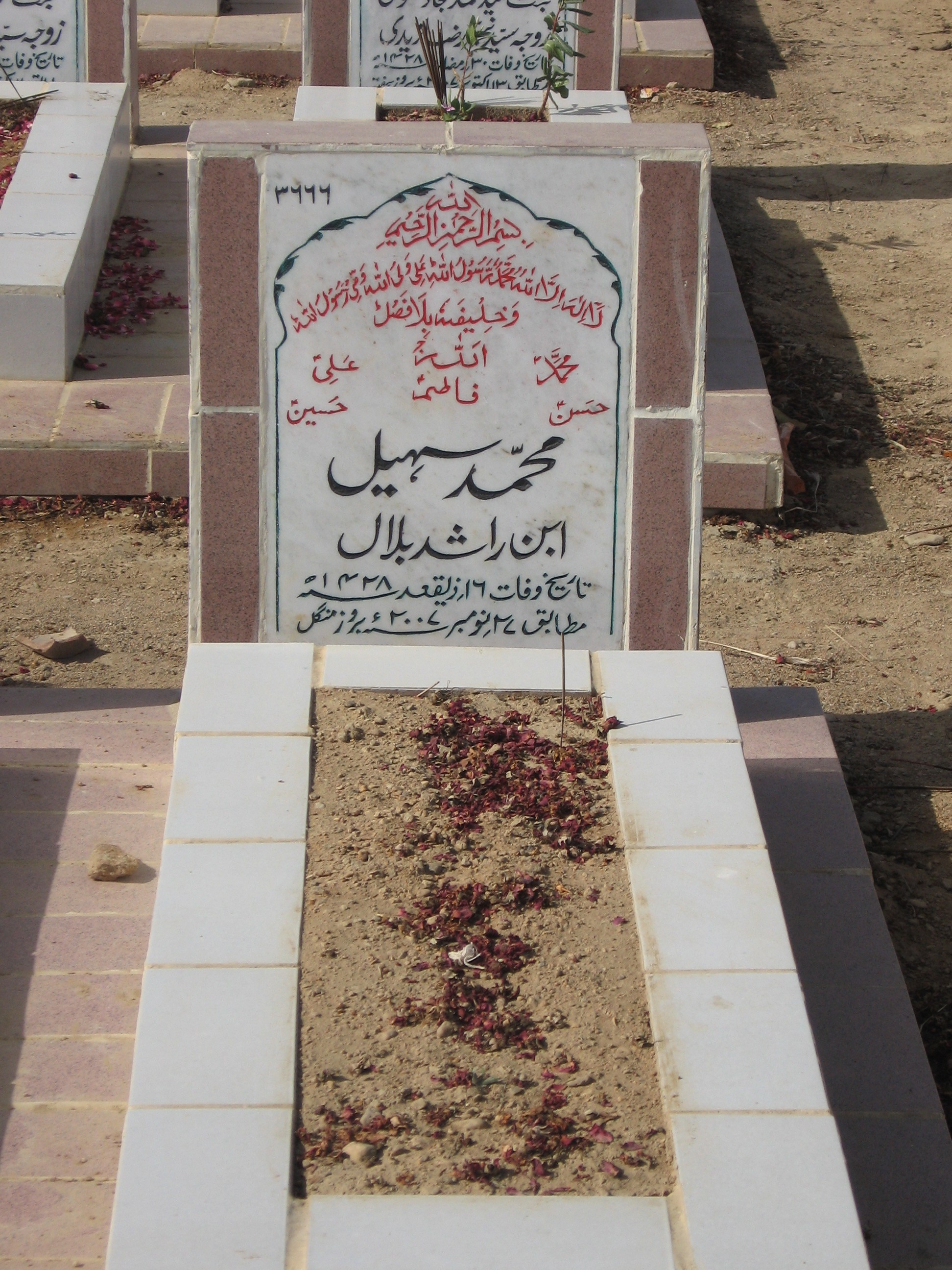 3666 – Muhammad Sohail