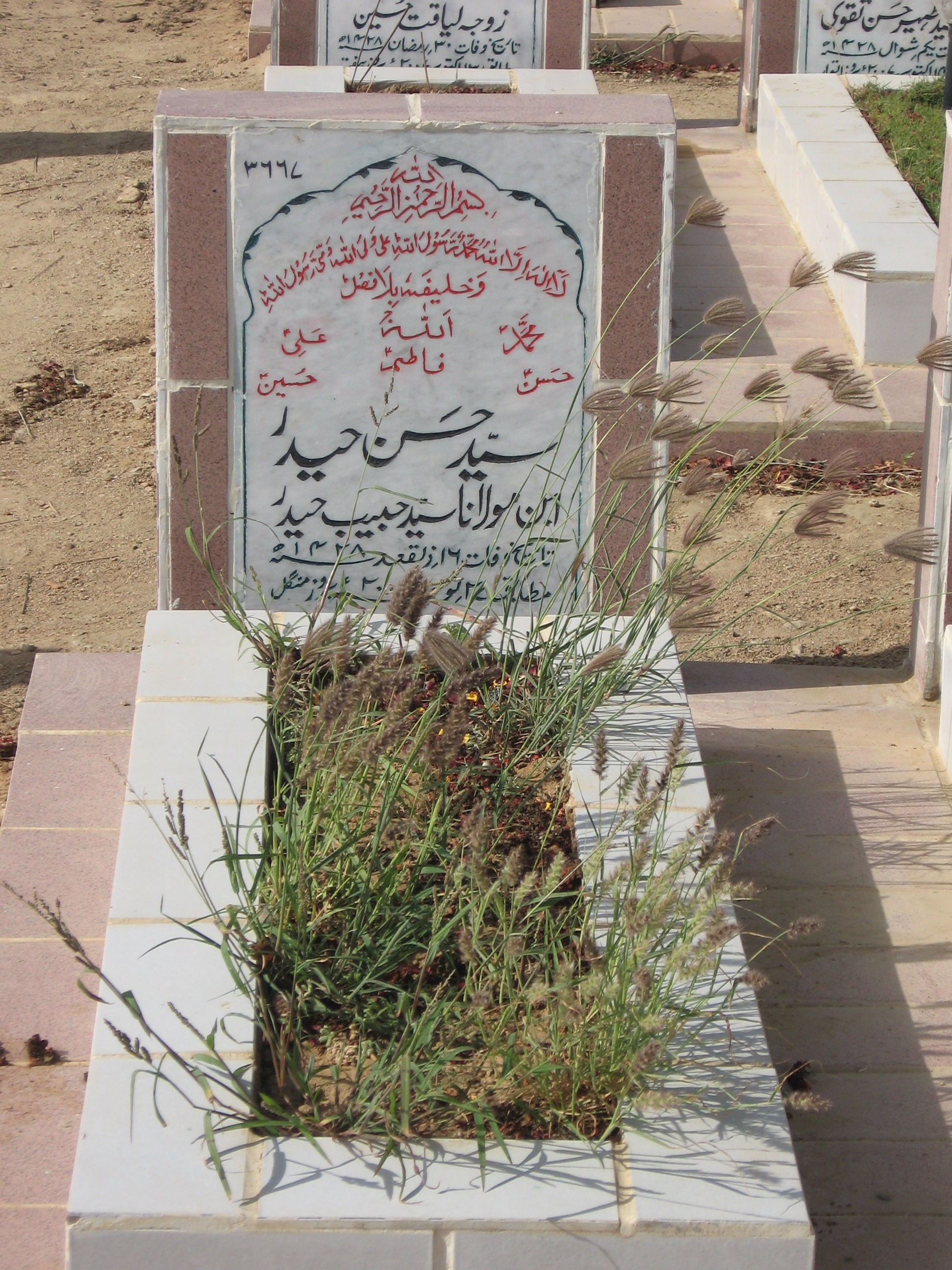 3667 – Syed Hassan Haider