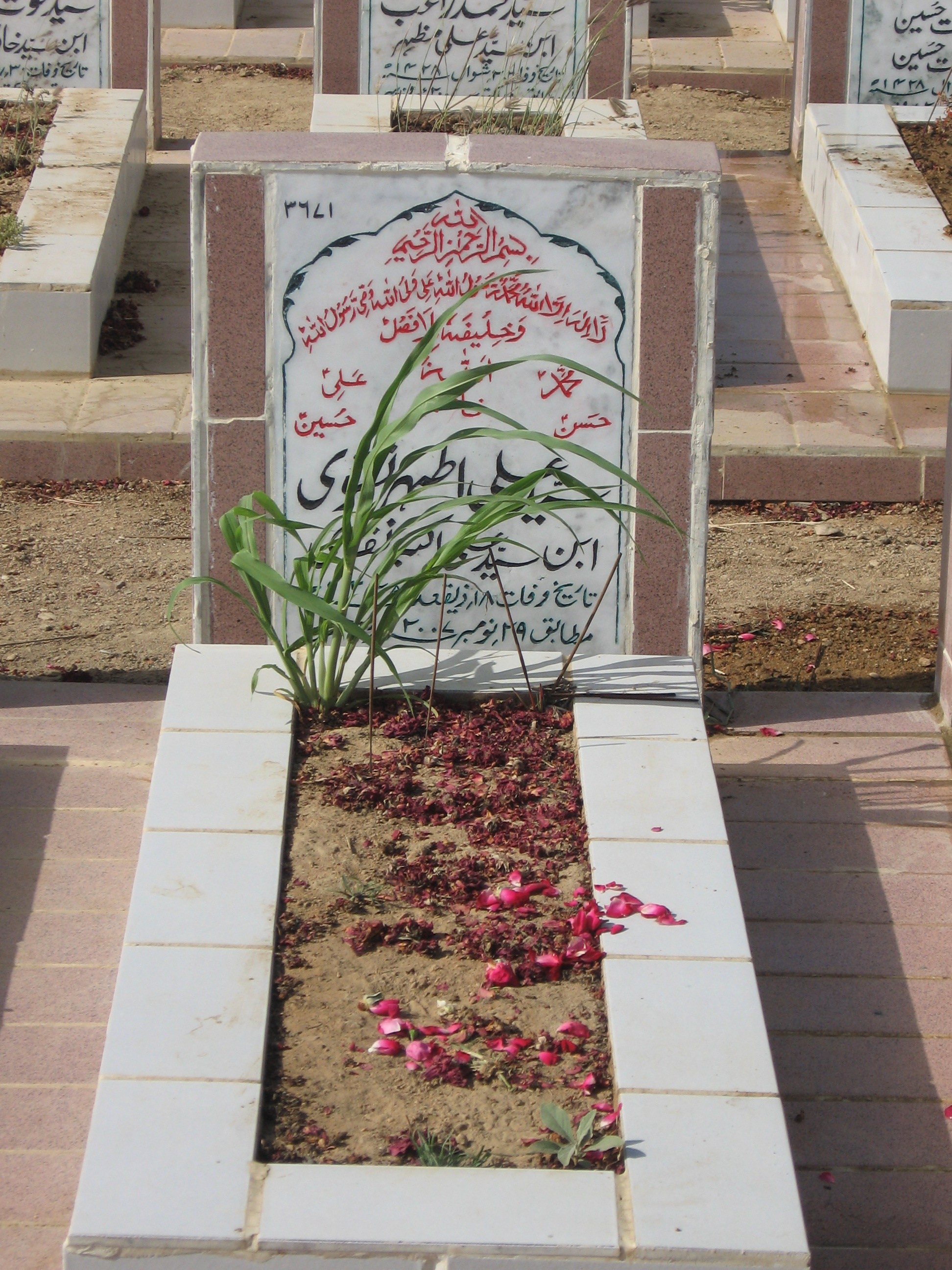 3671 – Syed Ali Ather Naqvi