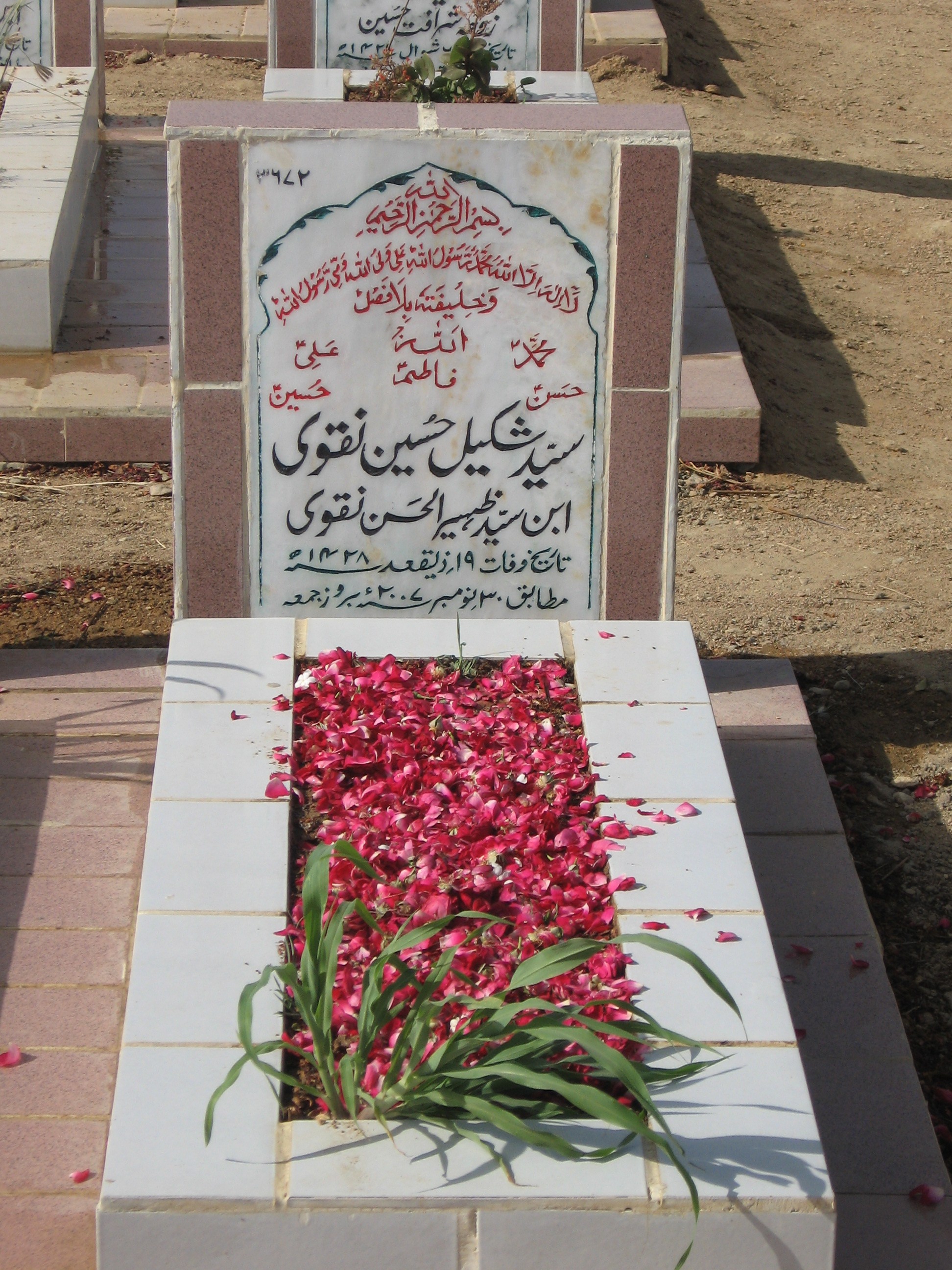 3672 – Syed Shakeel Hussain Naqvi