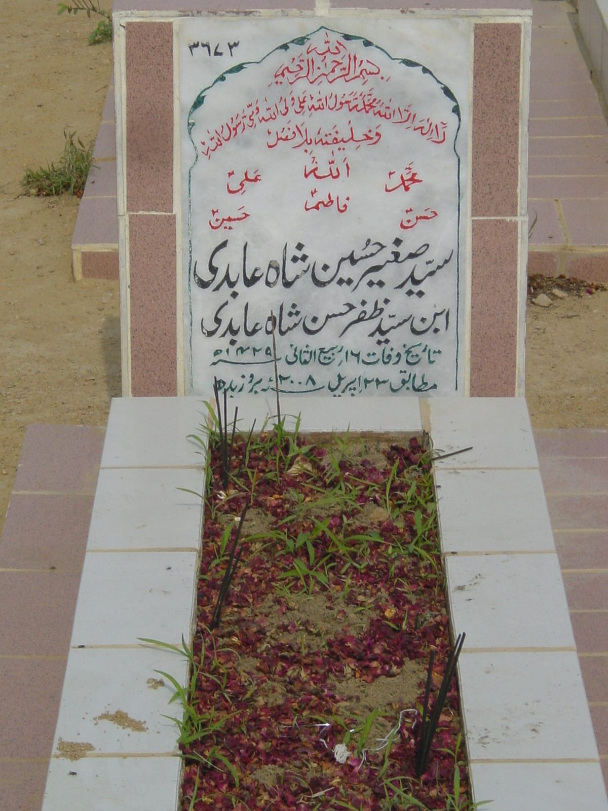 3673 – Syed Sager Hussain Shah Abidi