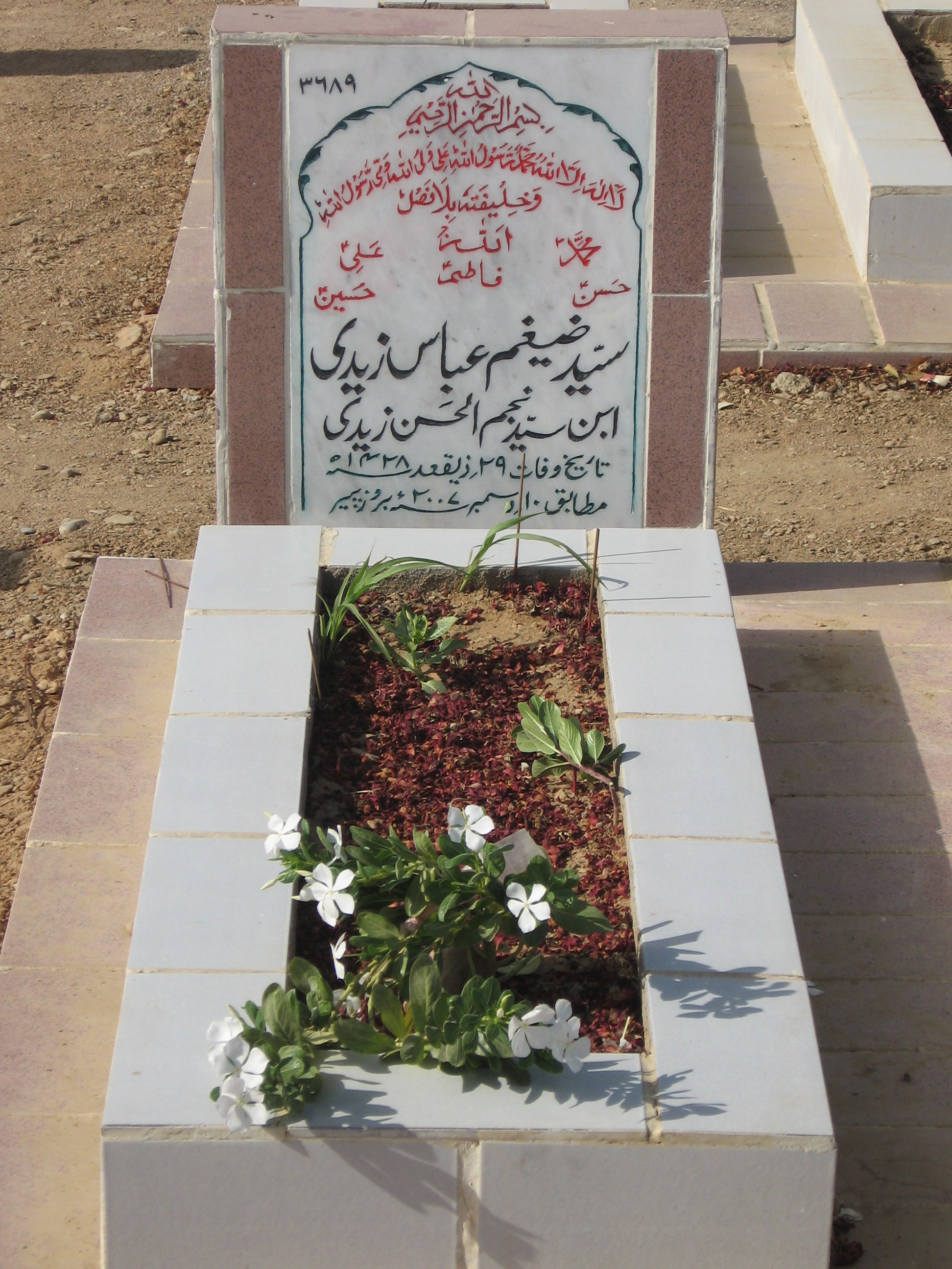 3689 – Syed Zaigham Abbas Zaidi