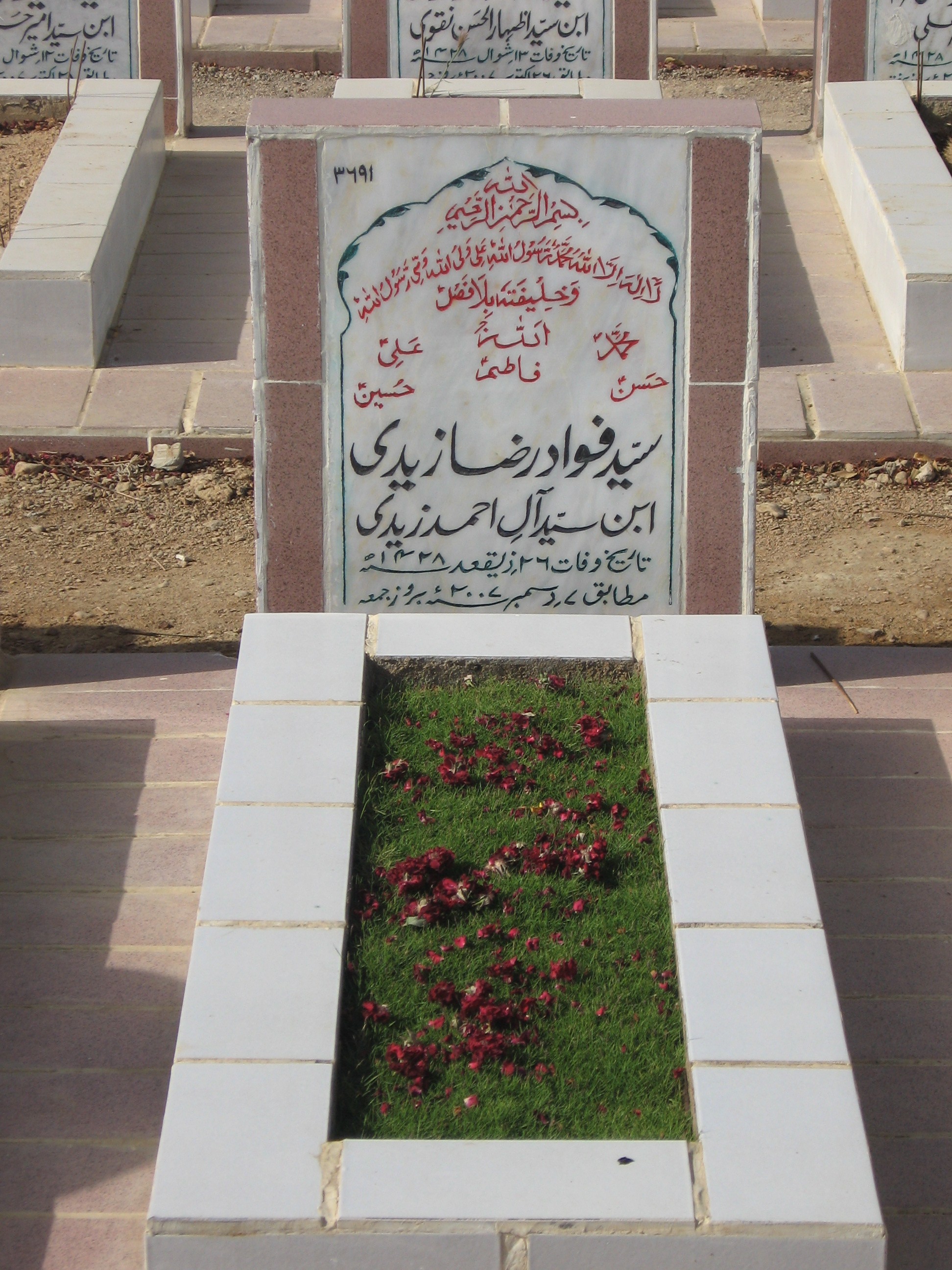 3691 – Syed Fawad Raza Zaidi