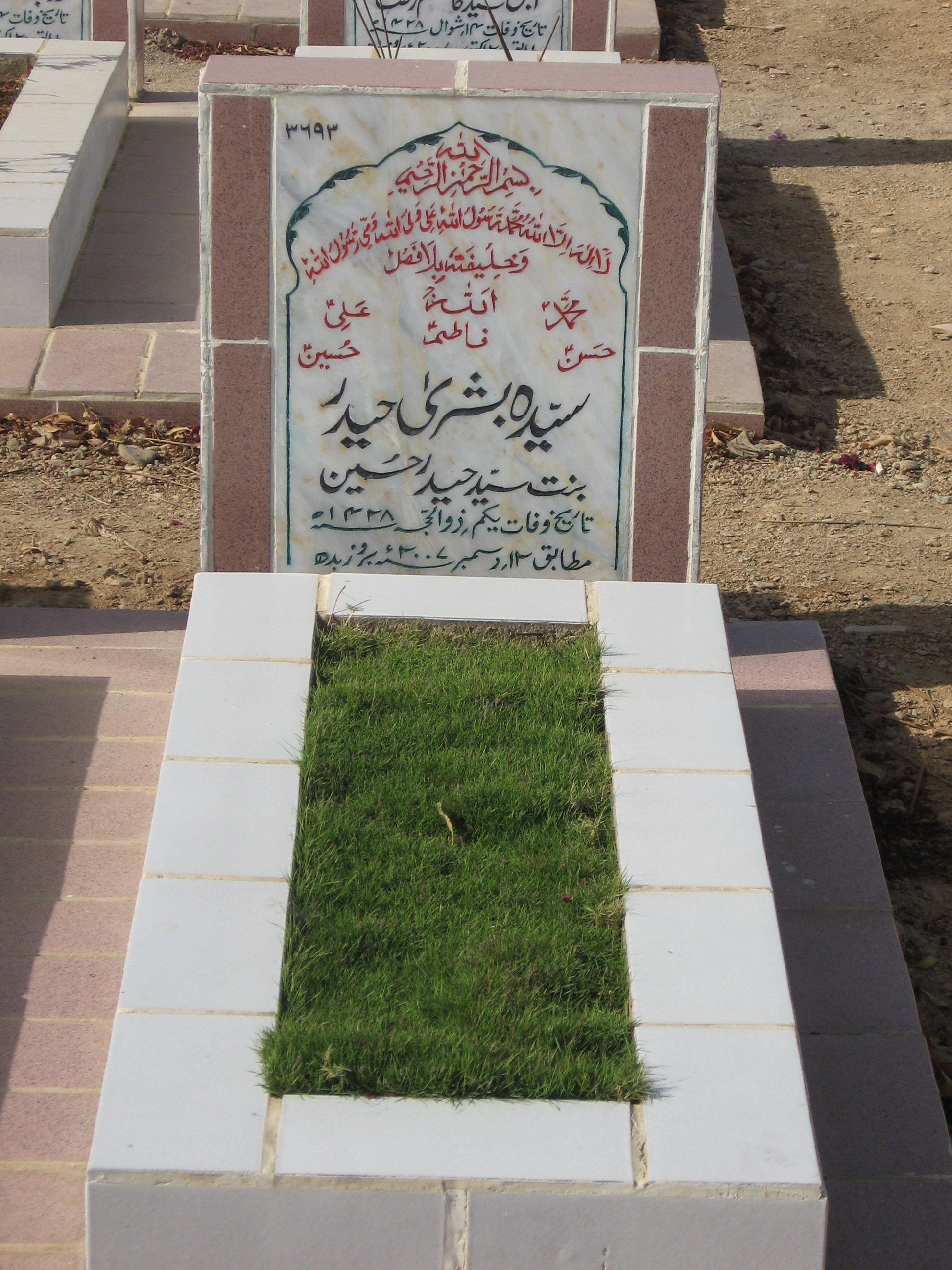 3693 – Syeda Bushrah Haider