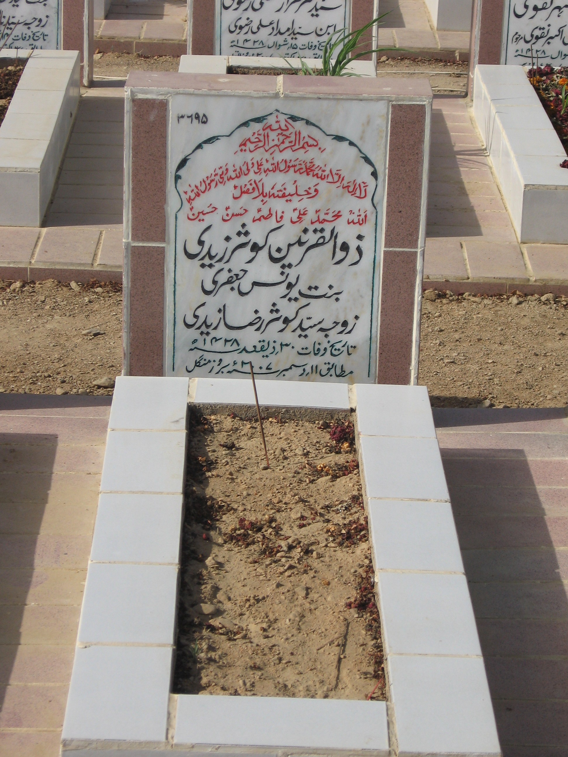 3695 – Zulqarnain Kausar Zaidi