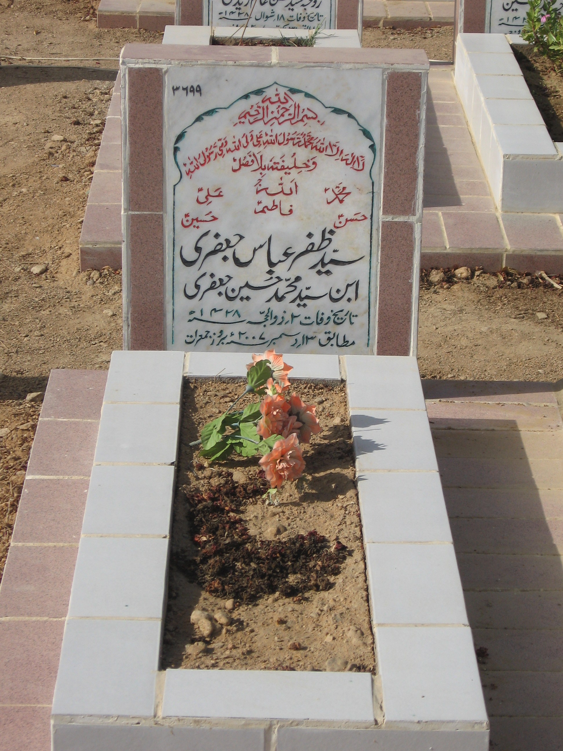 3699 – Syed Zafar Abbas Jaffri