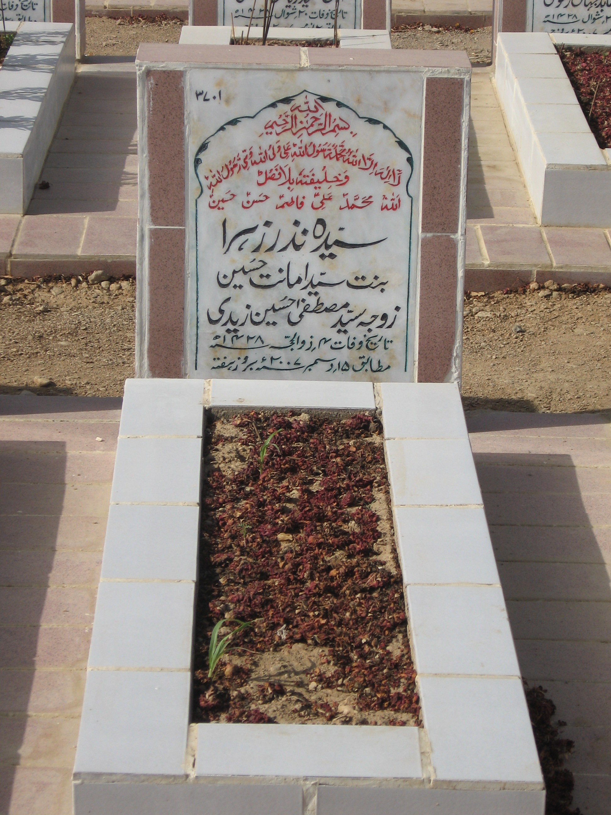 3701 – Syeda Nazar Zehra