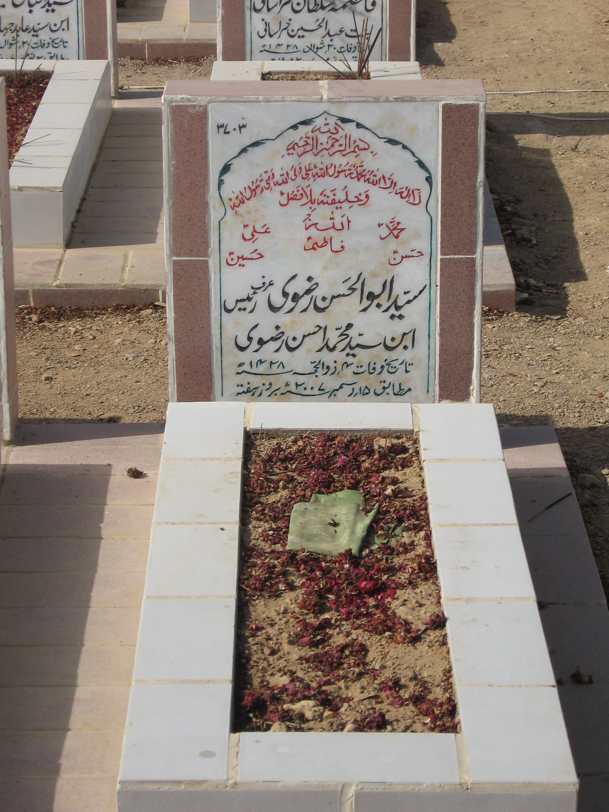 3703 – Syrd Abul Hassan Rizvi(Raees)