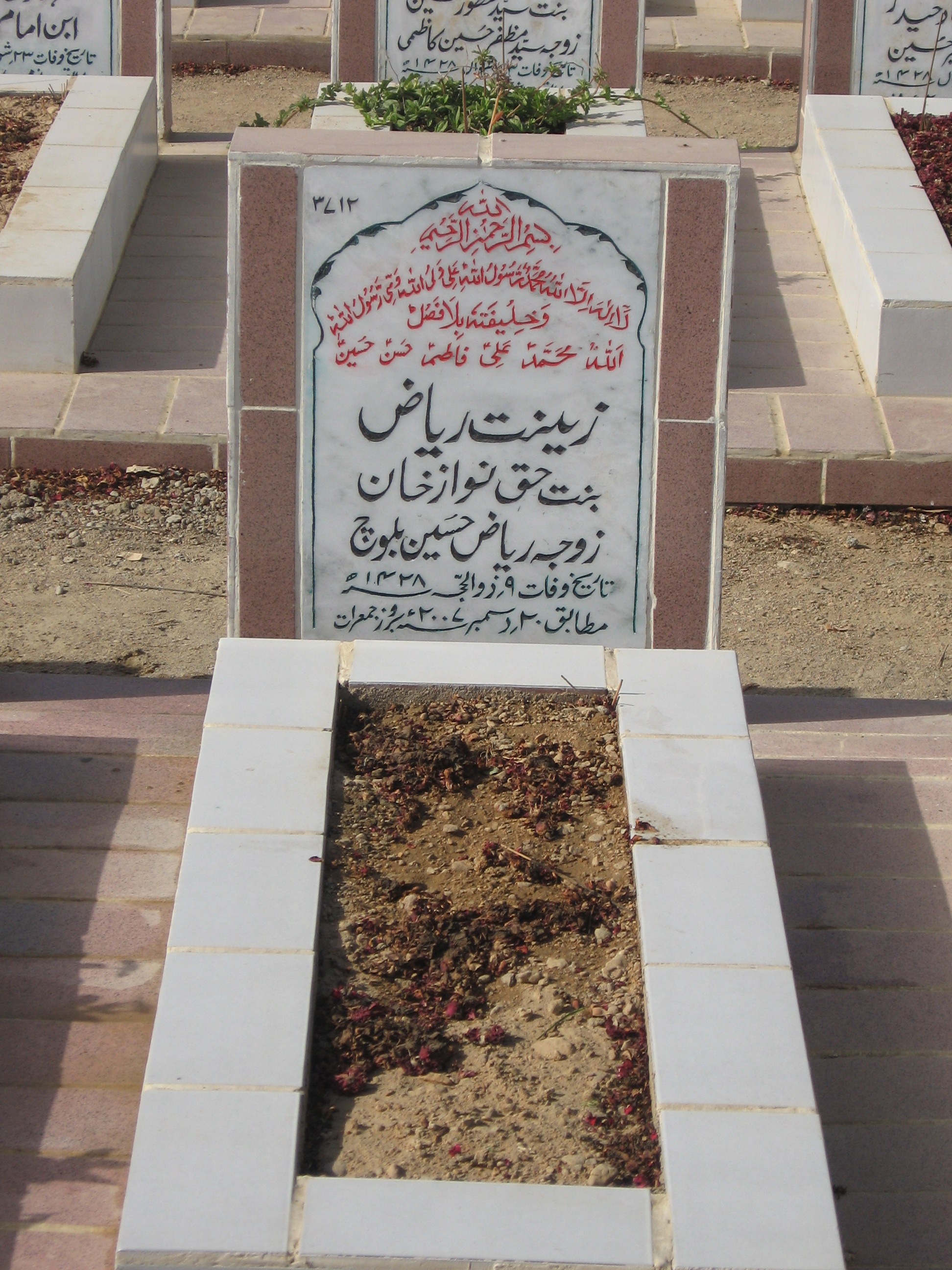 3712 – Zeenat Riaz