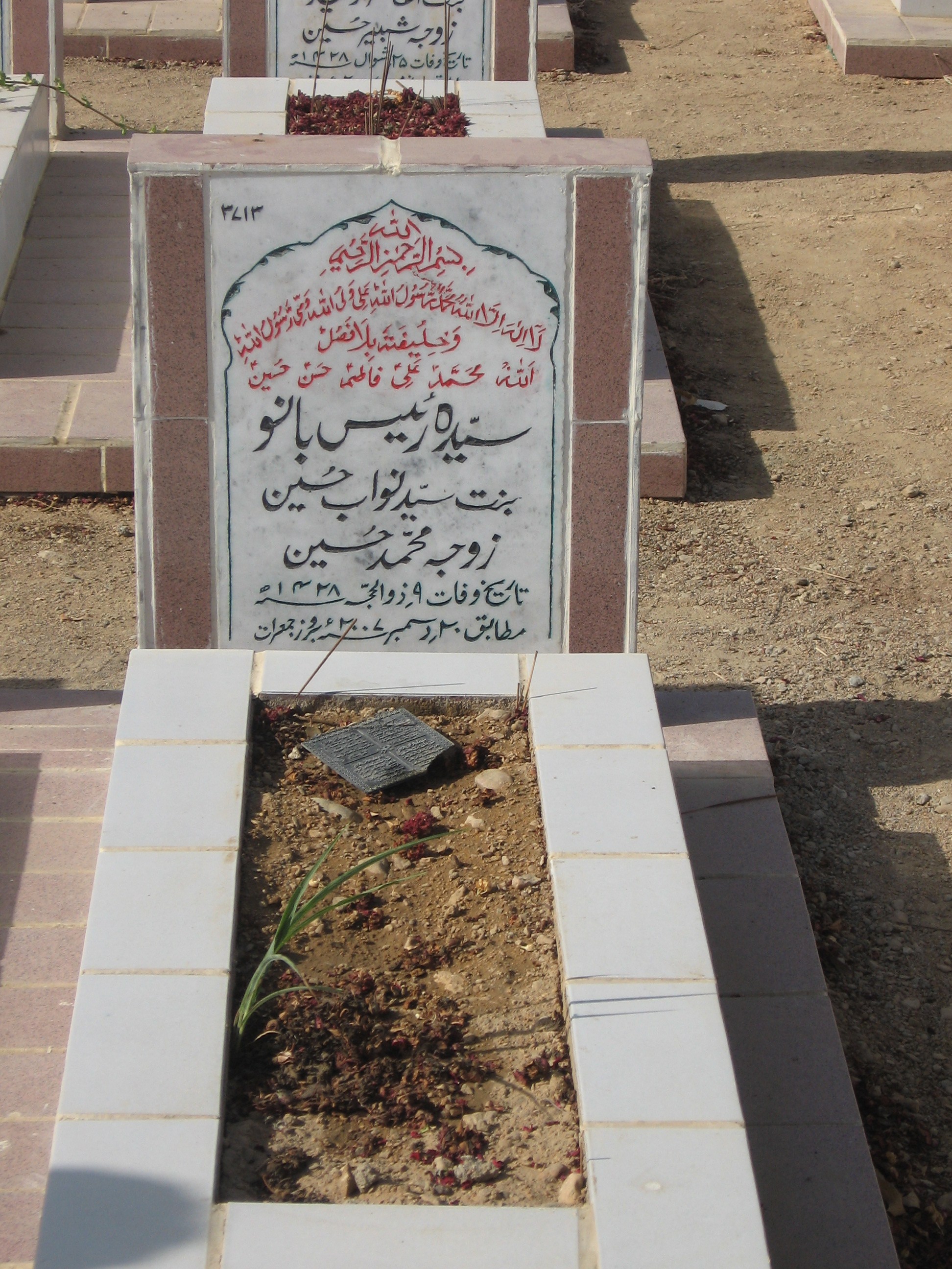 3713 – Syeda Raees Bano