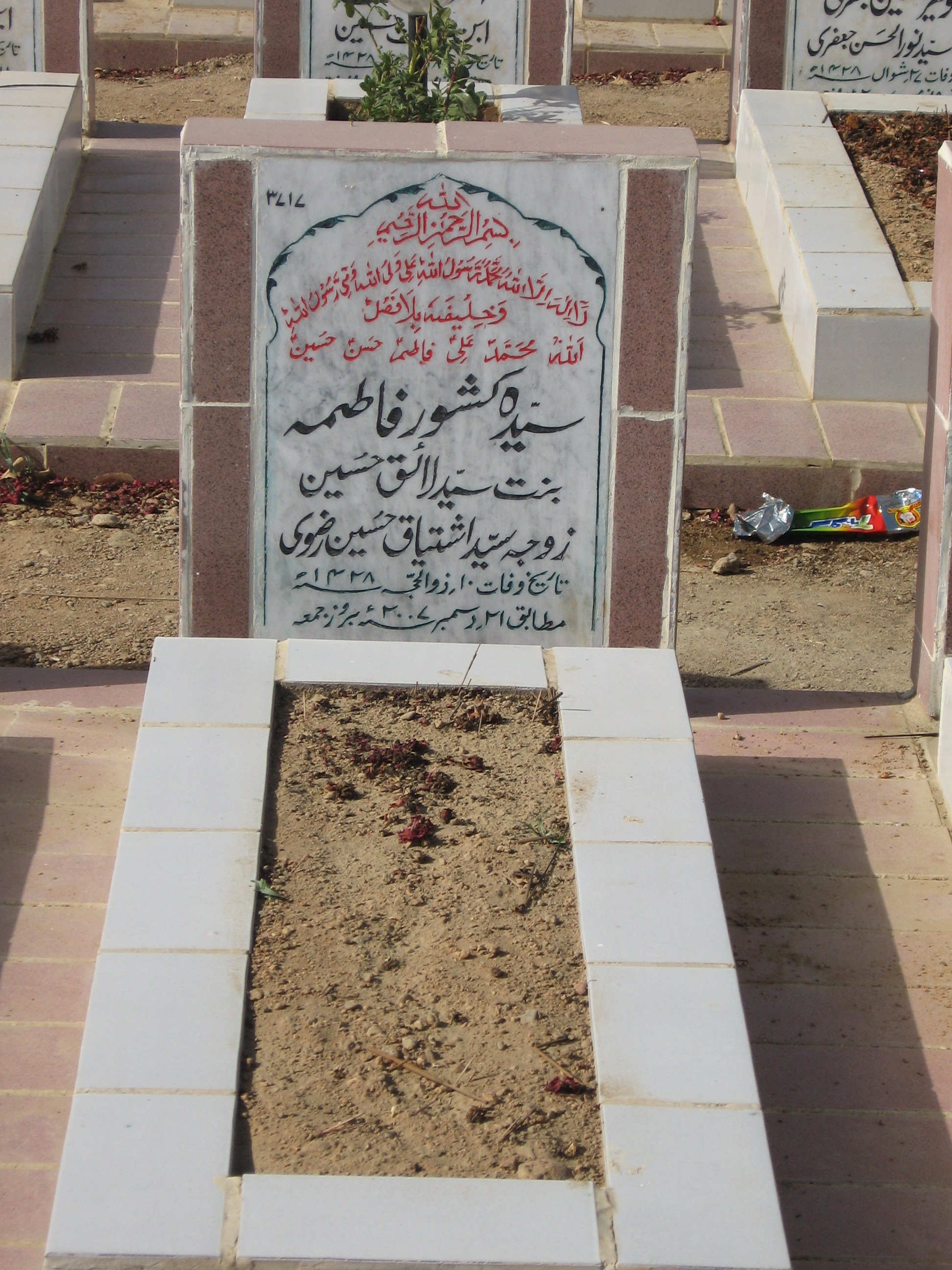 3717 – Syeda Kishwer Fatima