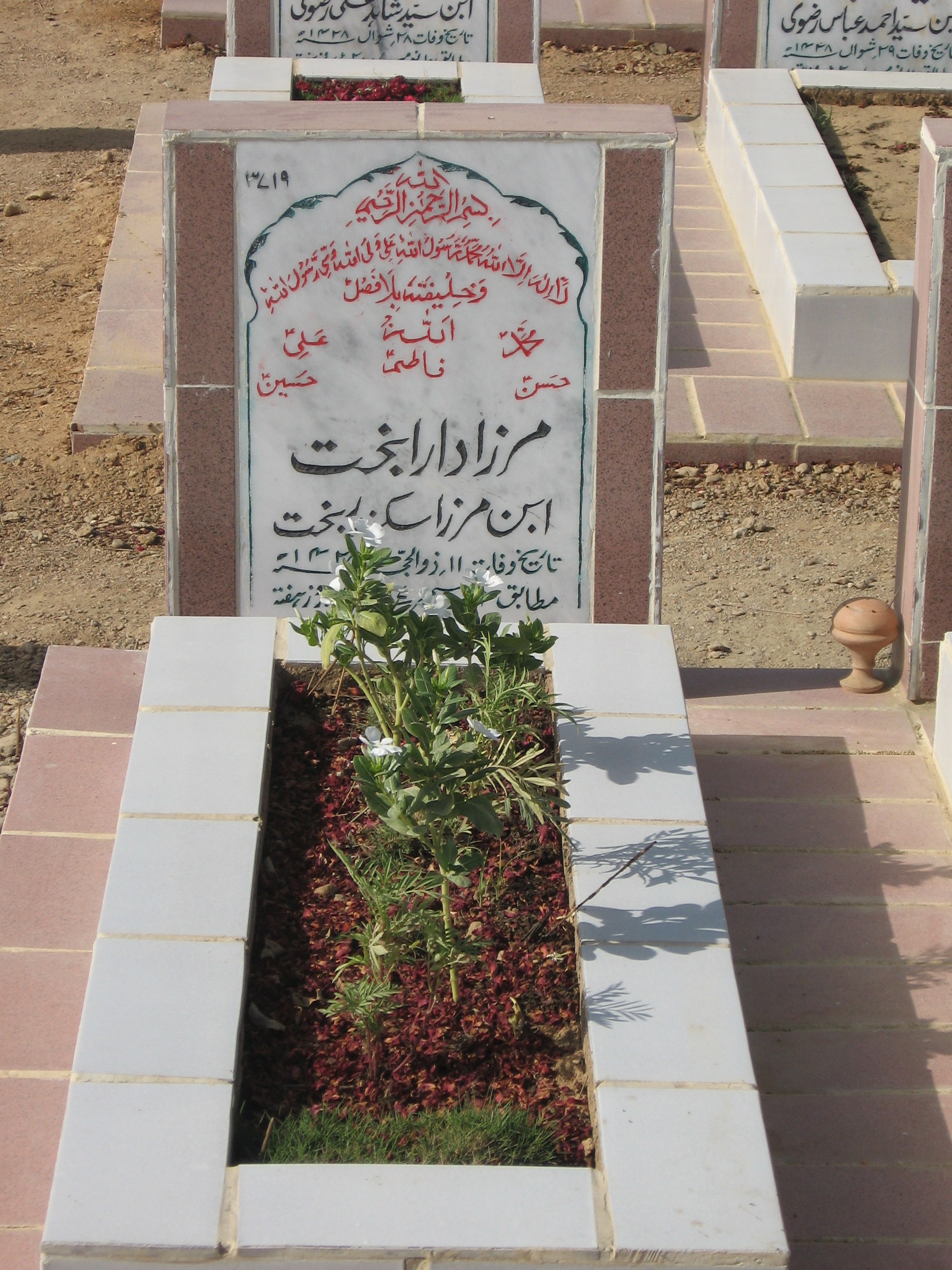 3719 – Mirza Dara Bakht