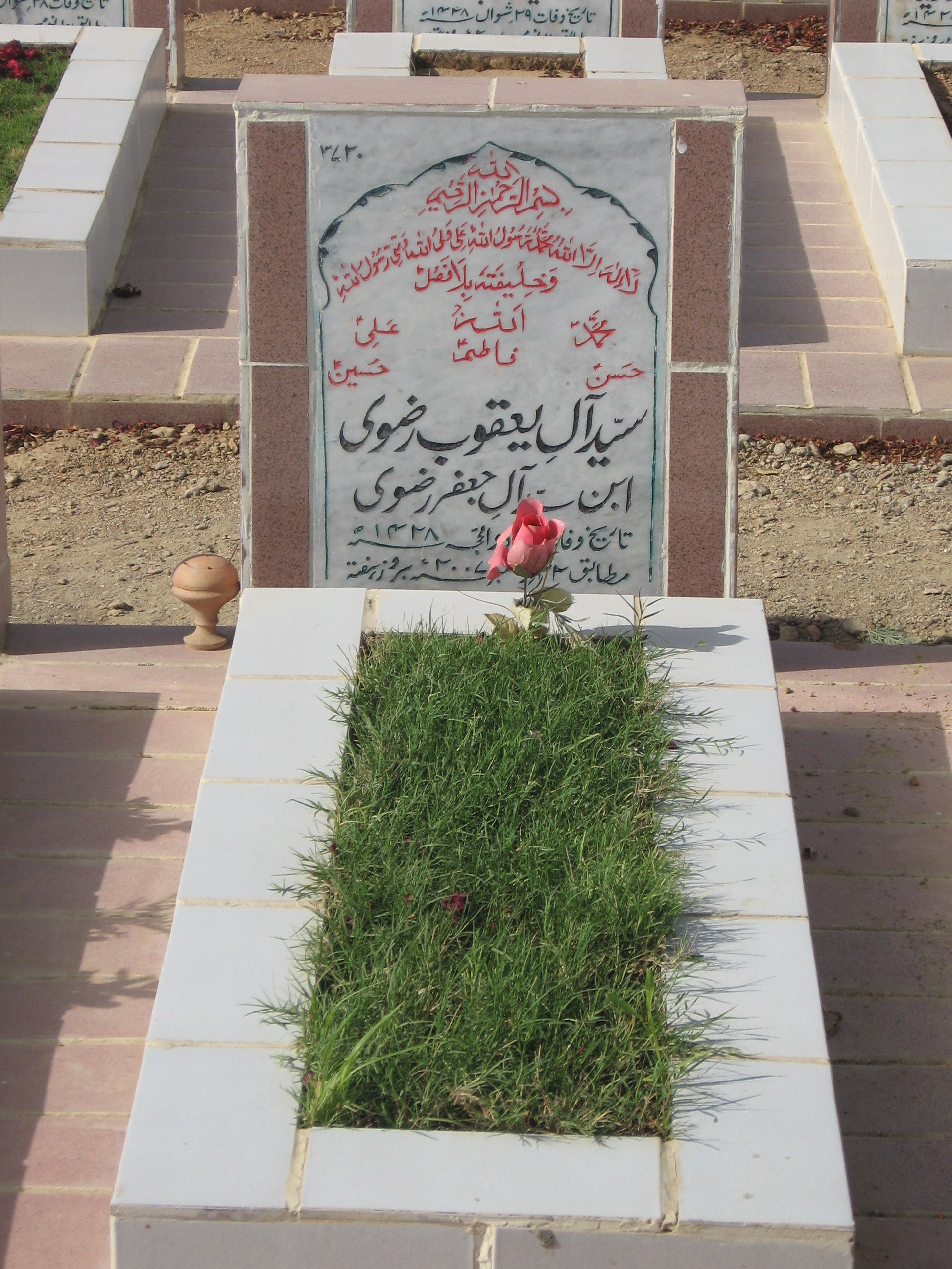 3720 – Syed Ale Yaqoob Rizvi