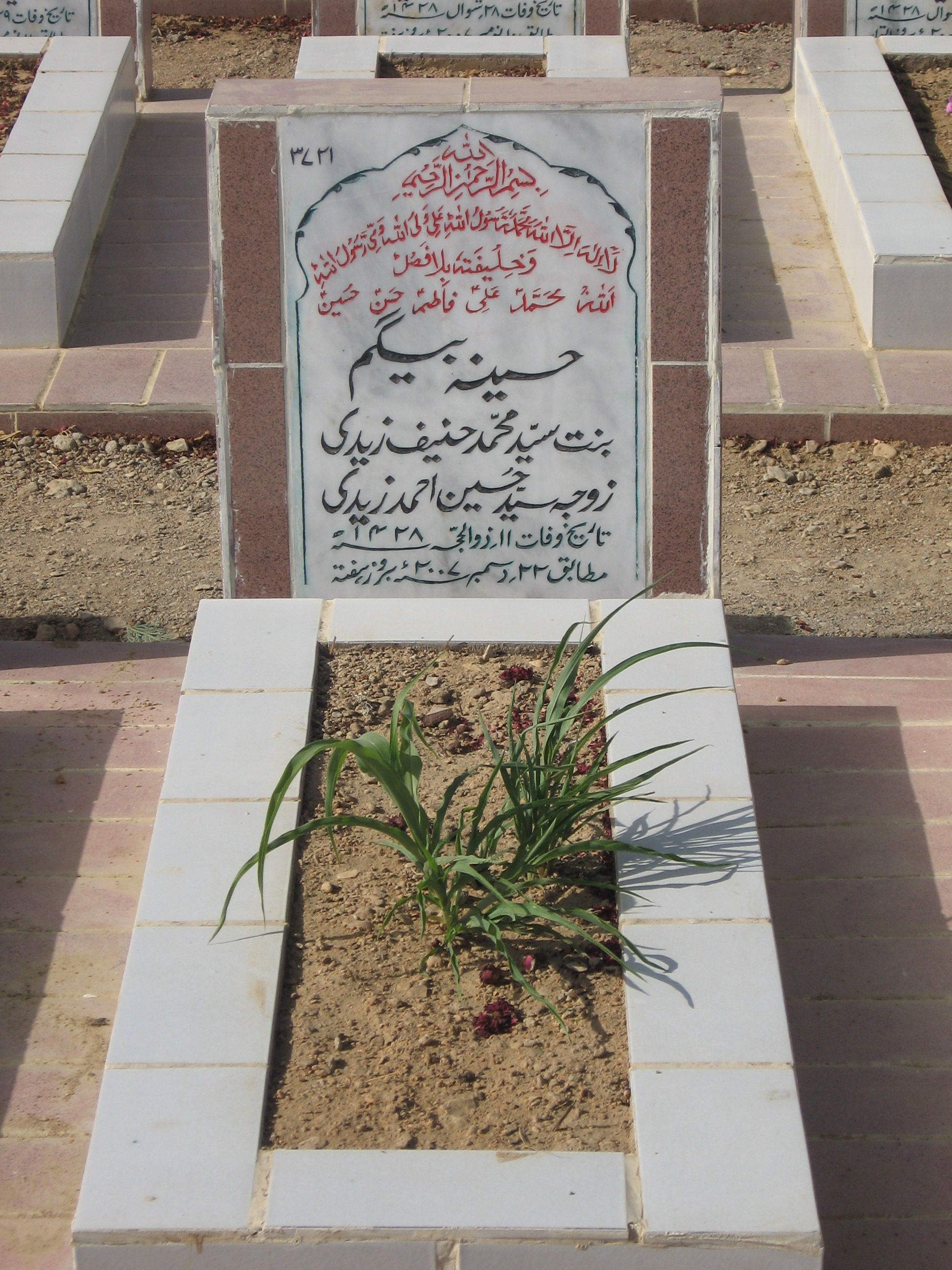 3721 – Haseena Begum