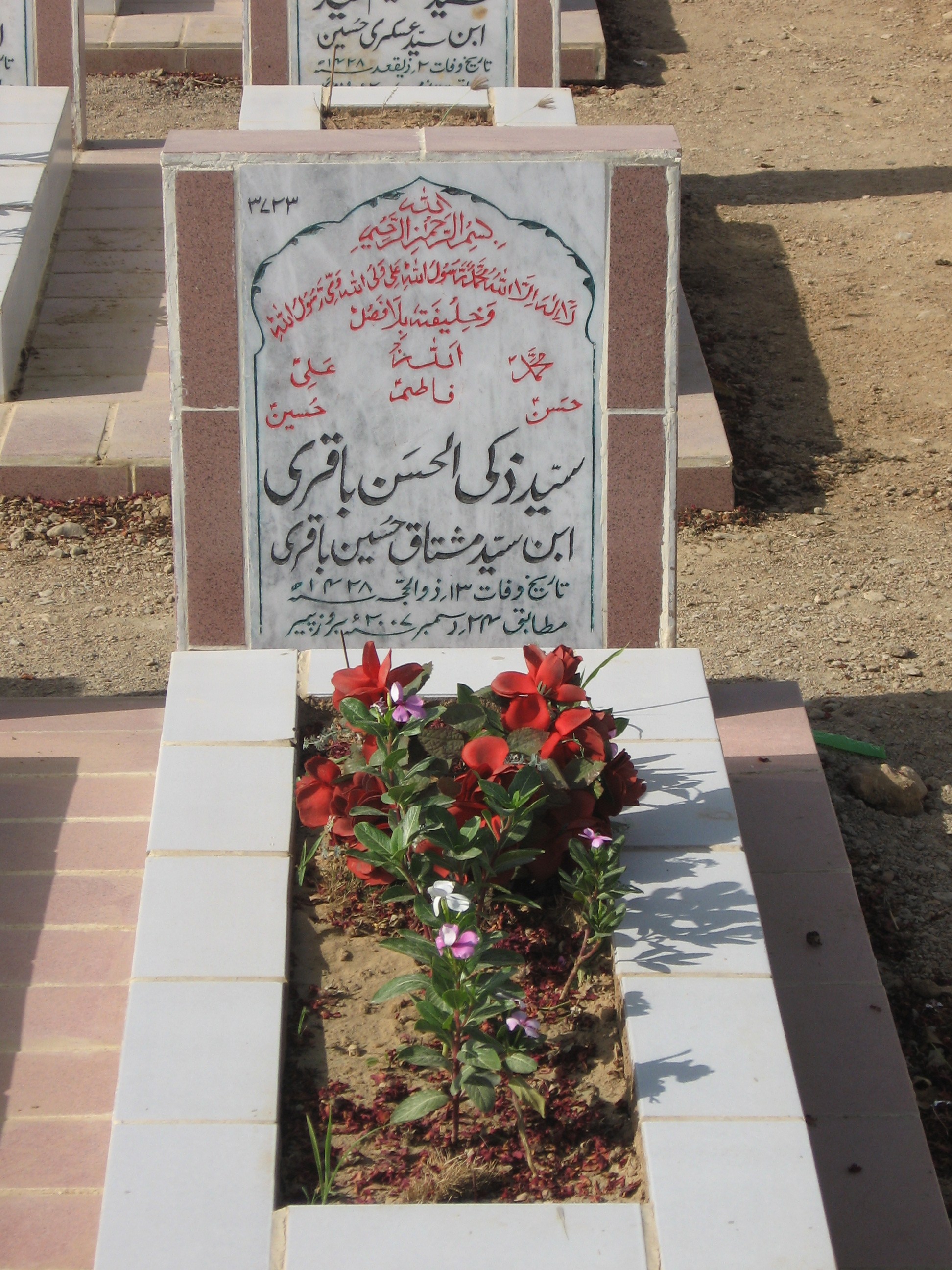 3723 – Syed Zaki-ul-hassan Baqri