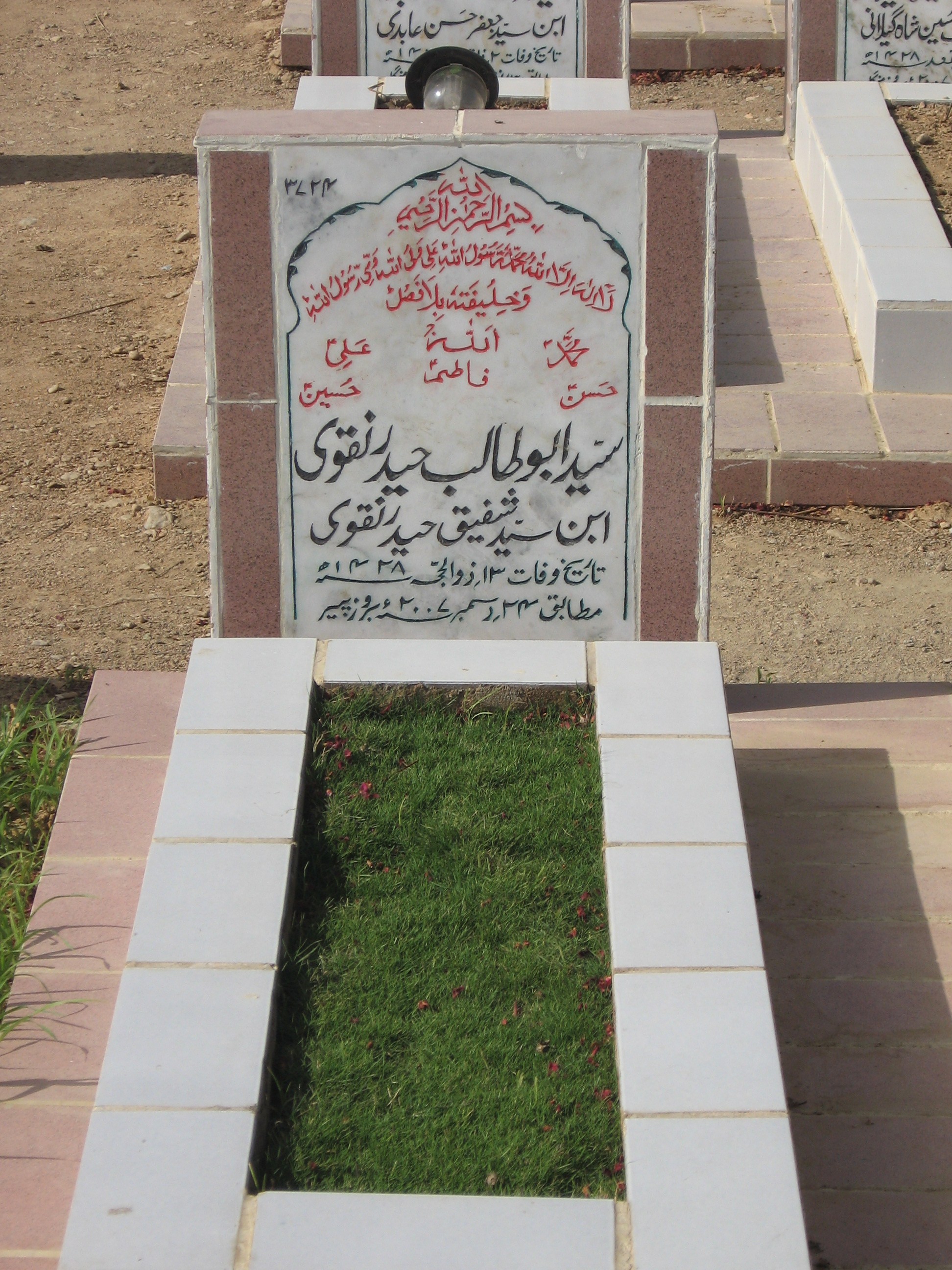 3724 – Syed Abu Talib Haider Naqvi