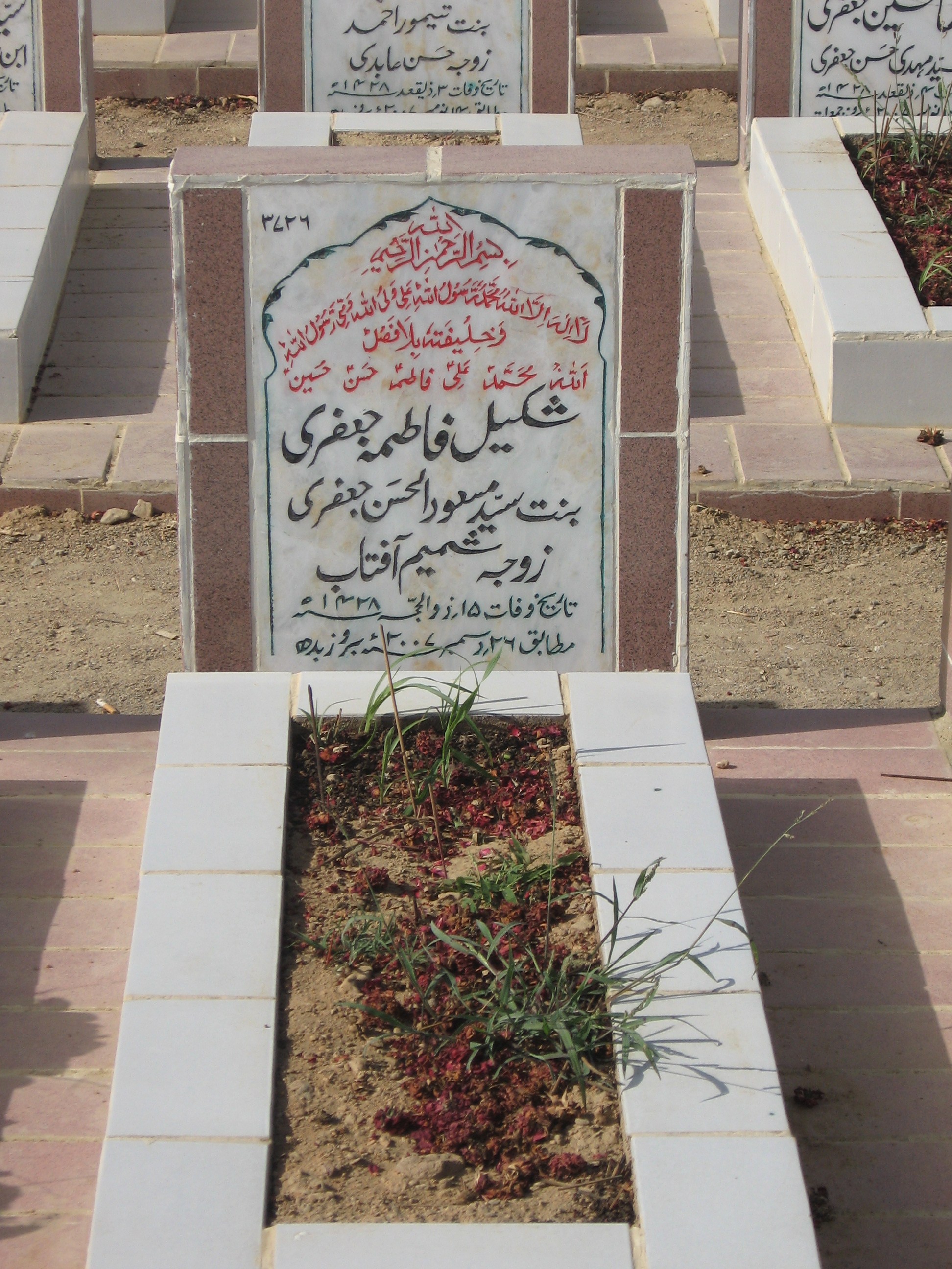 3726 – Shakeel Fatima Jaffri