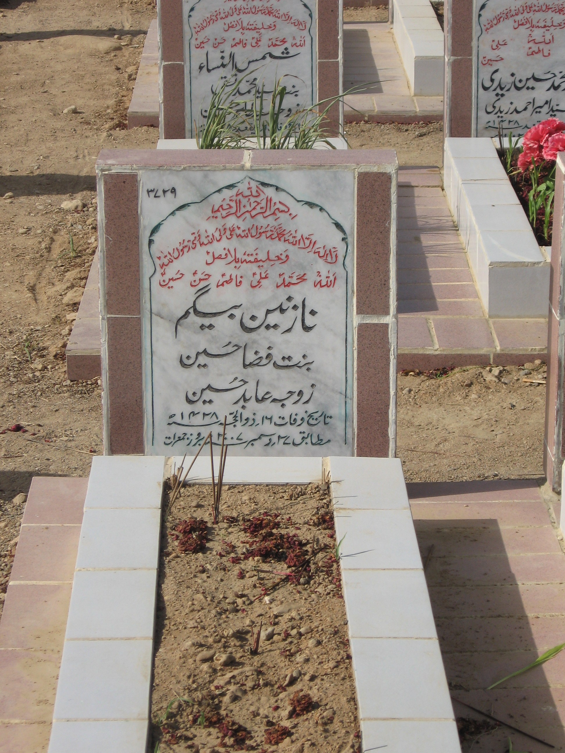 3729 – Nazneen Begum