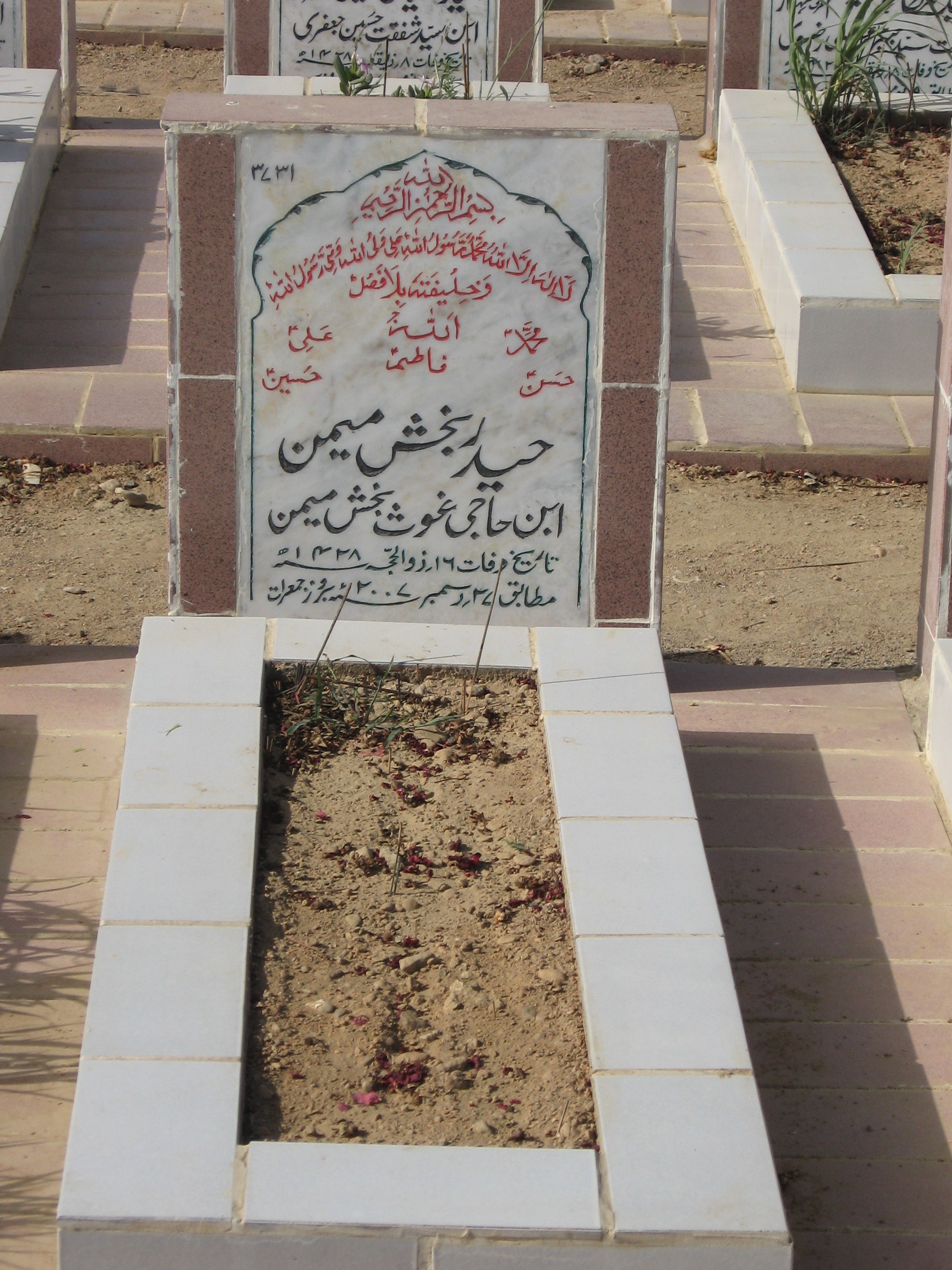 3731 – Haider Bux Memon