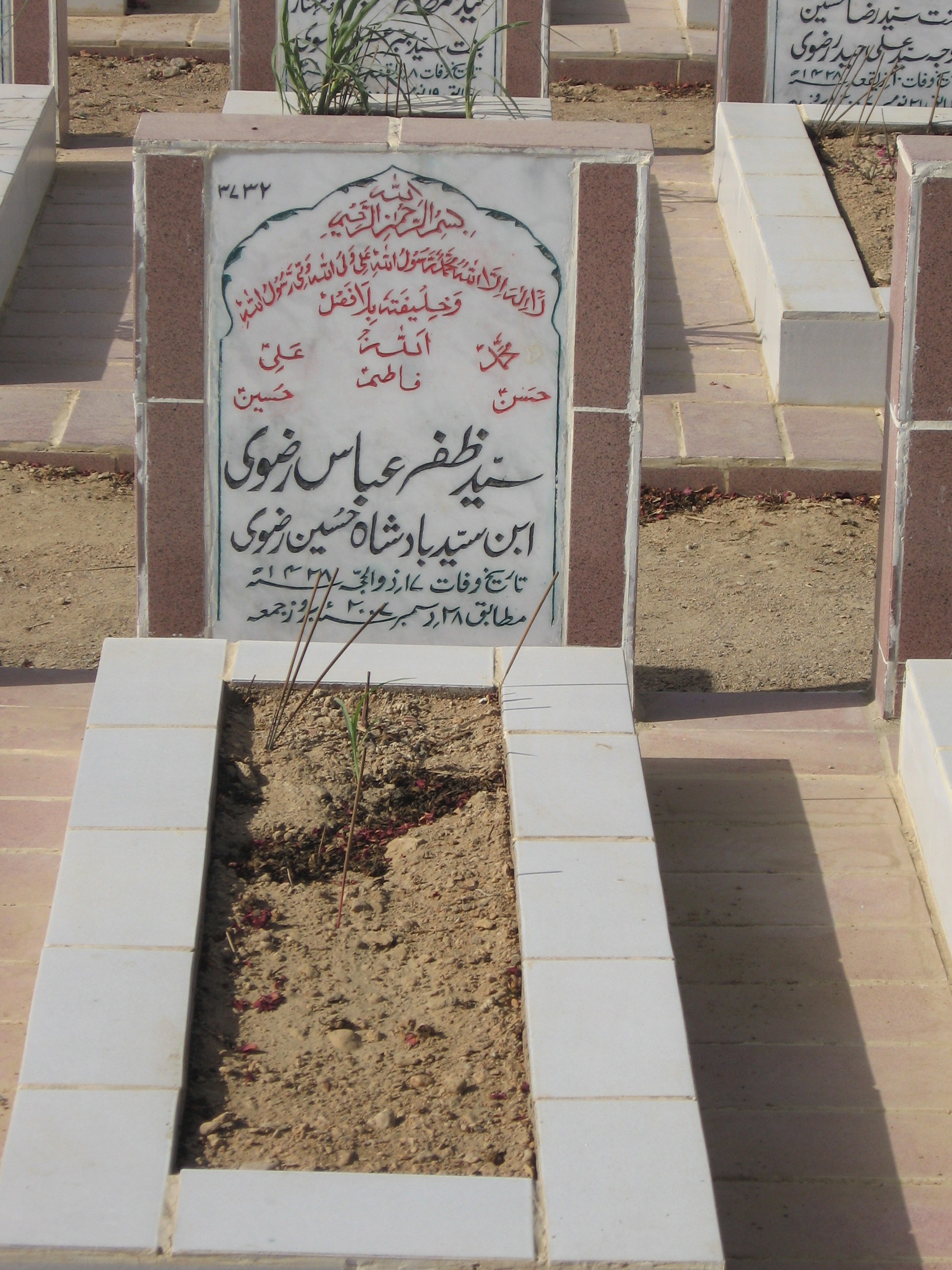 3732 – Syed Zafer Abbas Rizvi