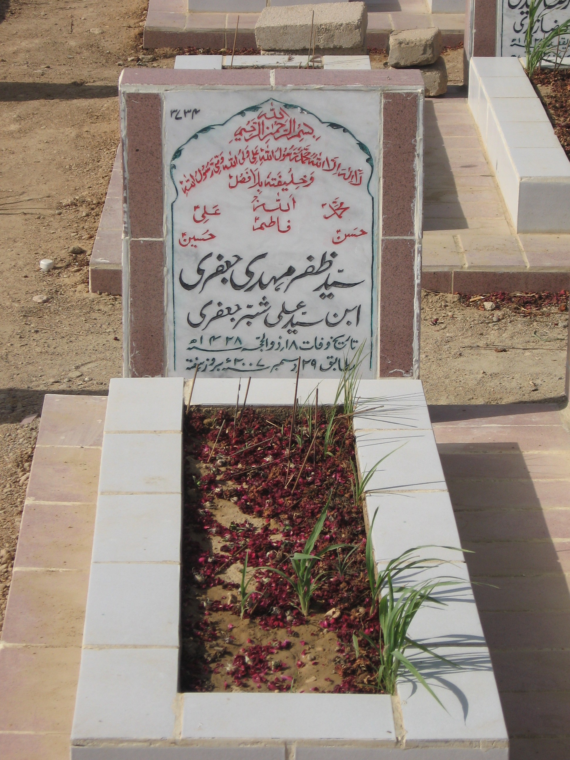 3734 – Syed Zafer Mehdi Jaffri