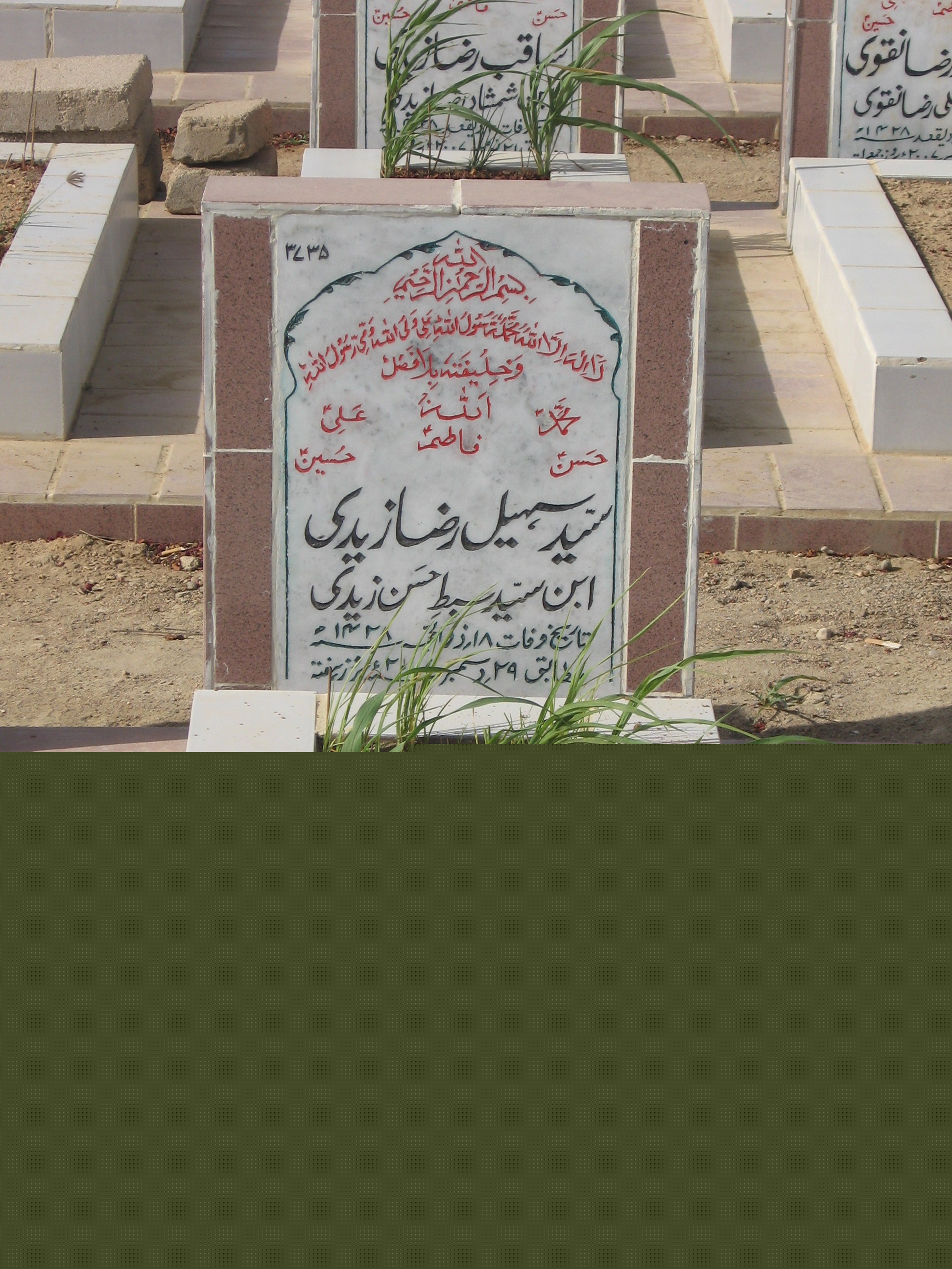 3735 – Syed Sohail Raza Zaidi