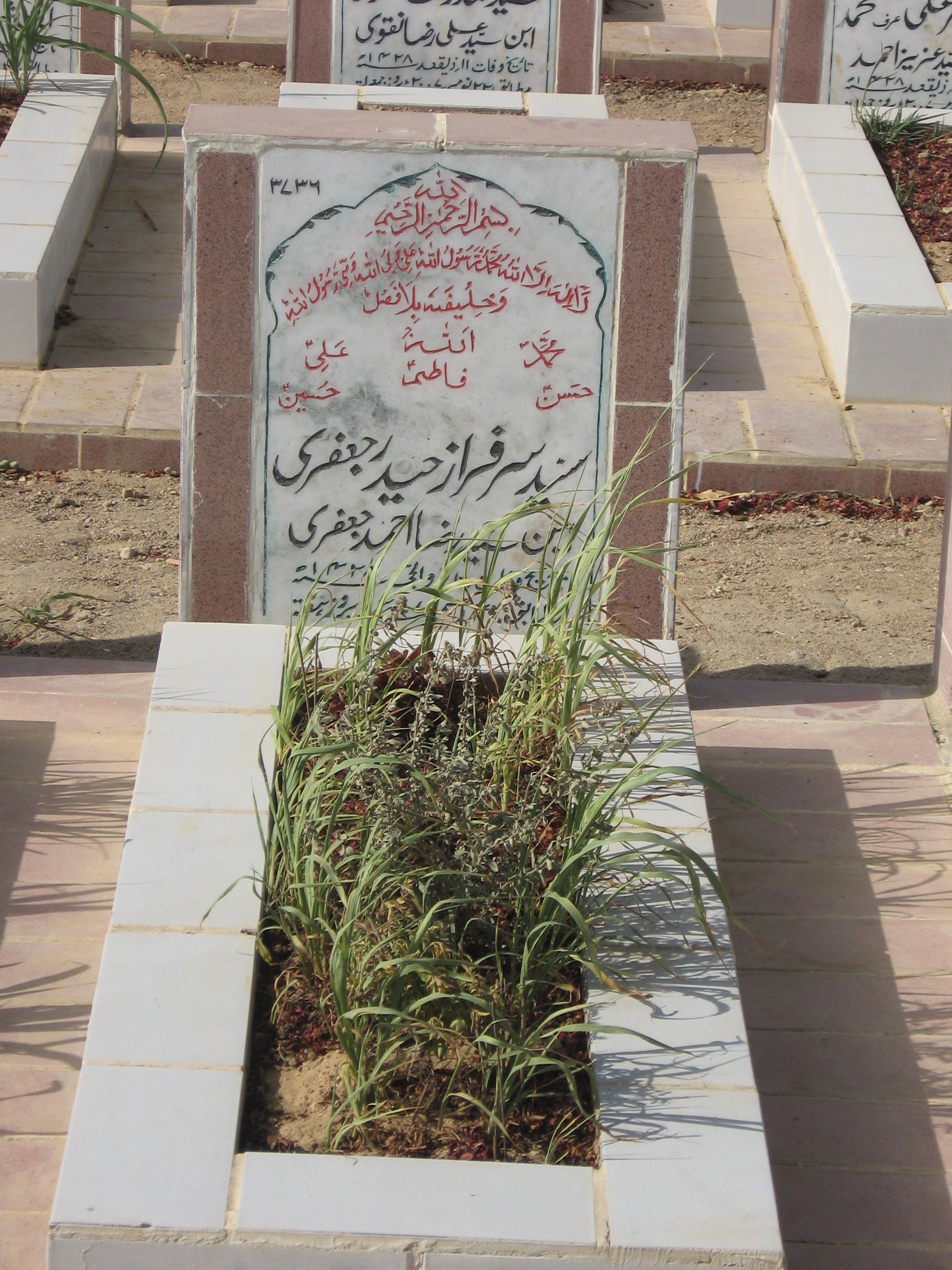 3736 – Syed Sarfaraz haider Jaffri