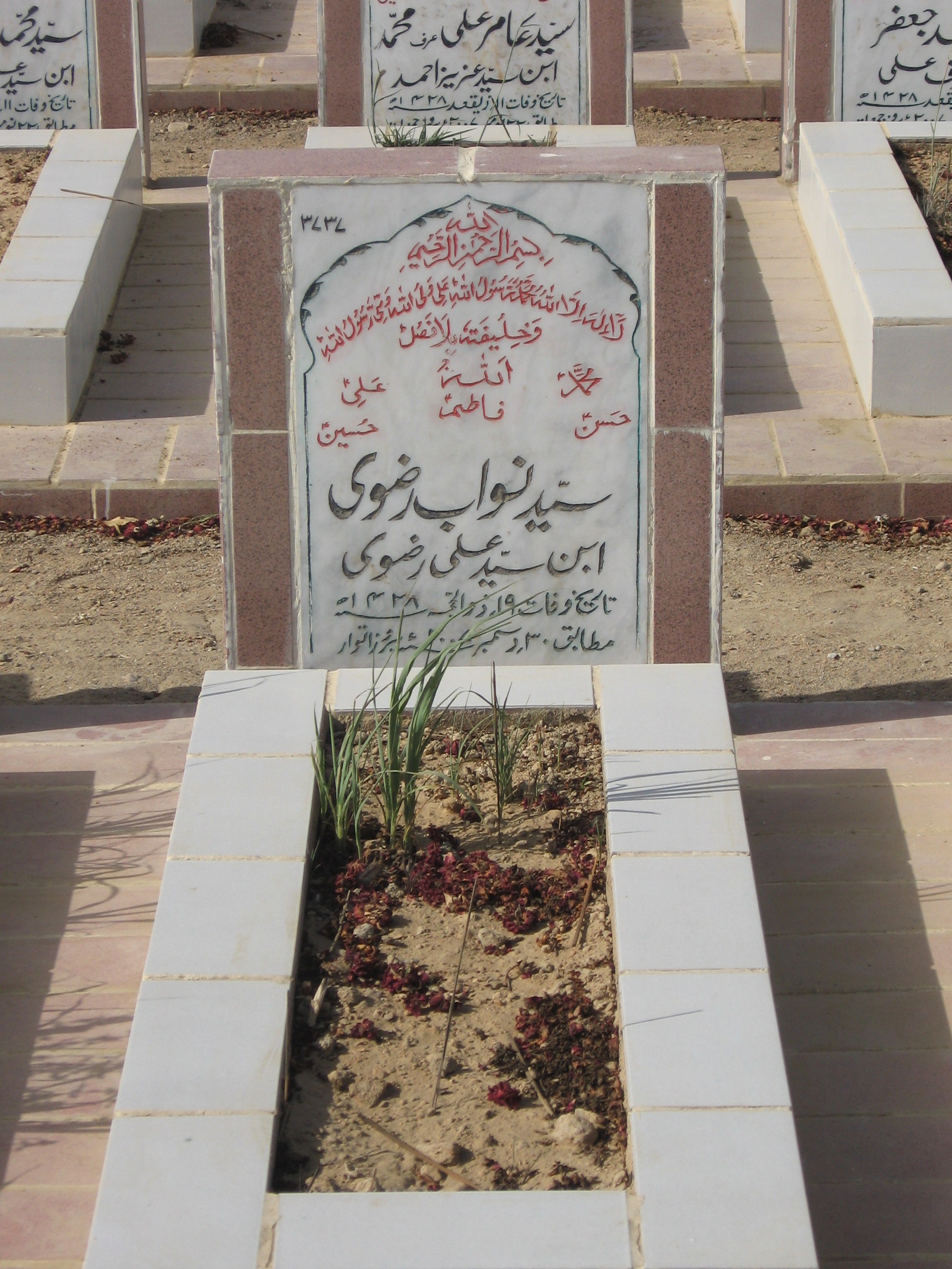 3737 – Syed Nawab Rizvi