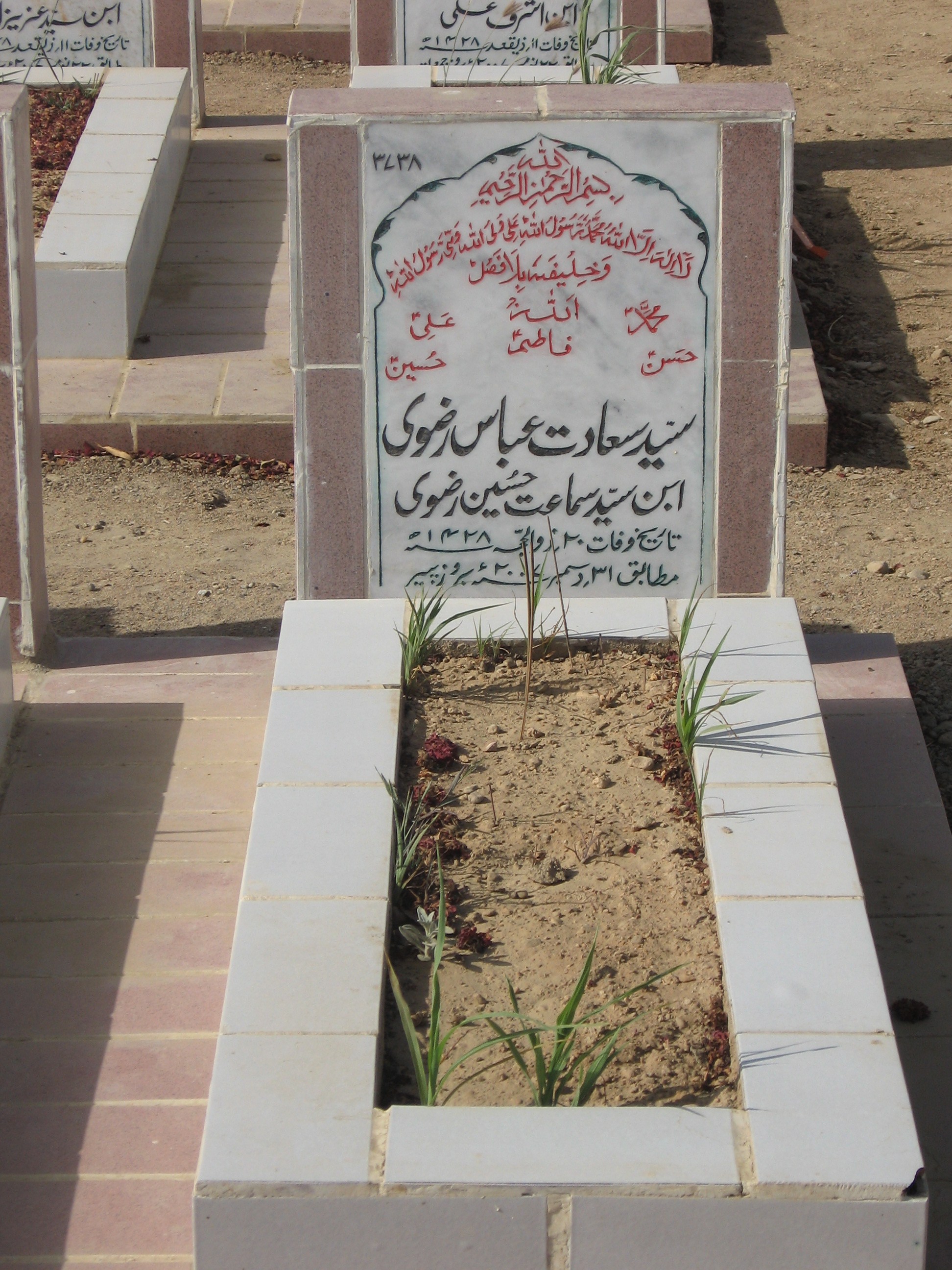 3738 – Syed Saadat Abbas Rizvi