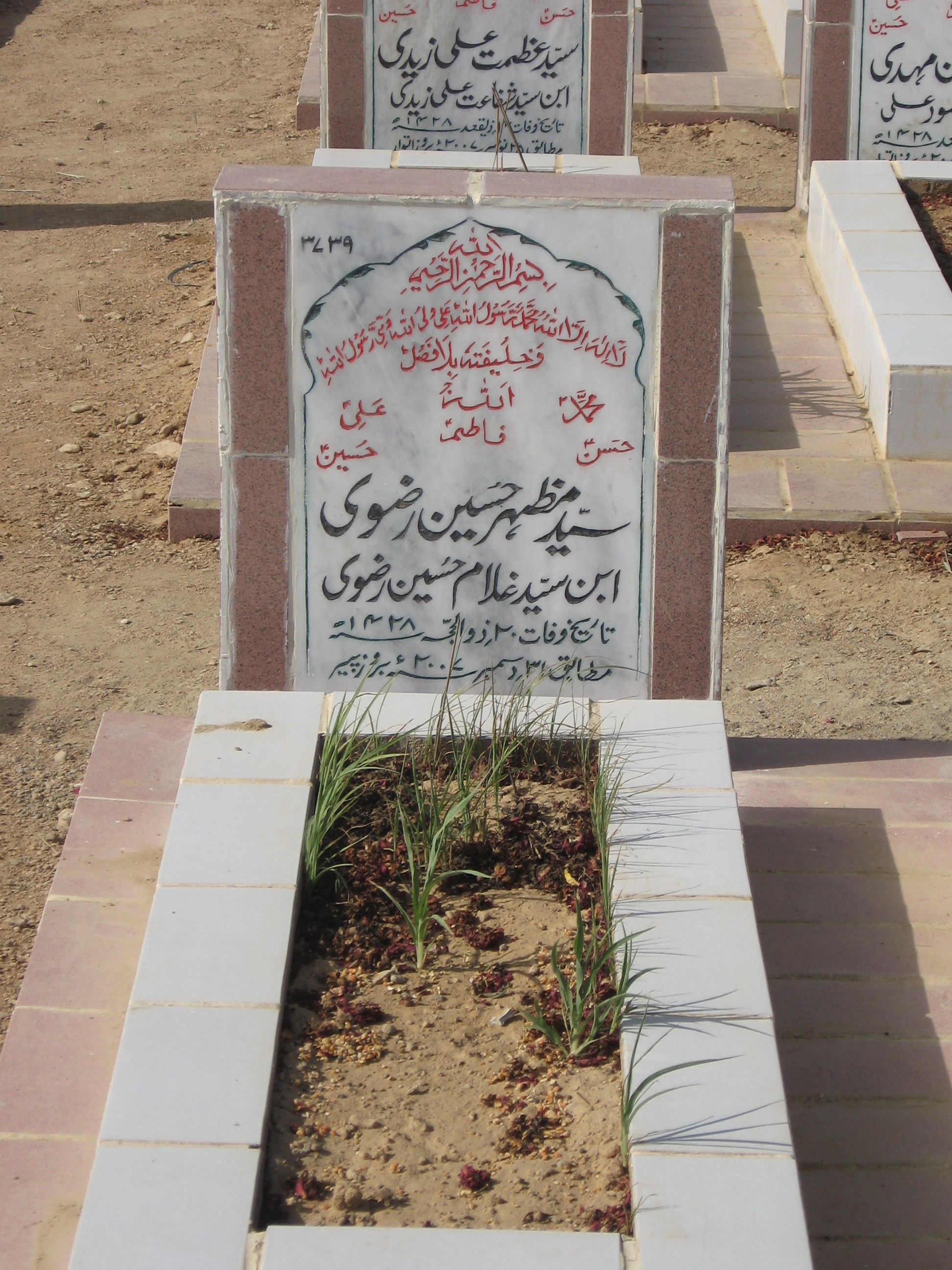 3739 – Syed Mazher Hussain Rizvi