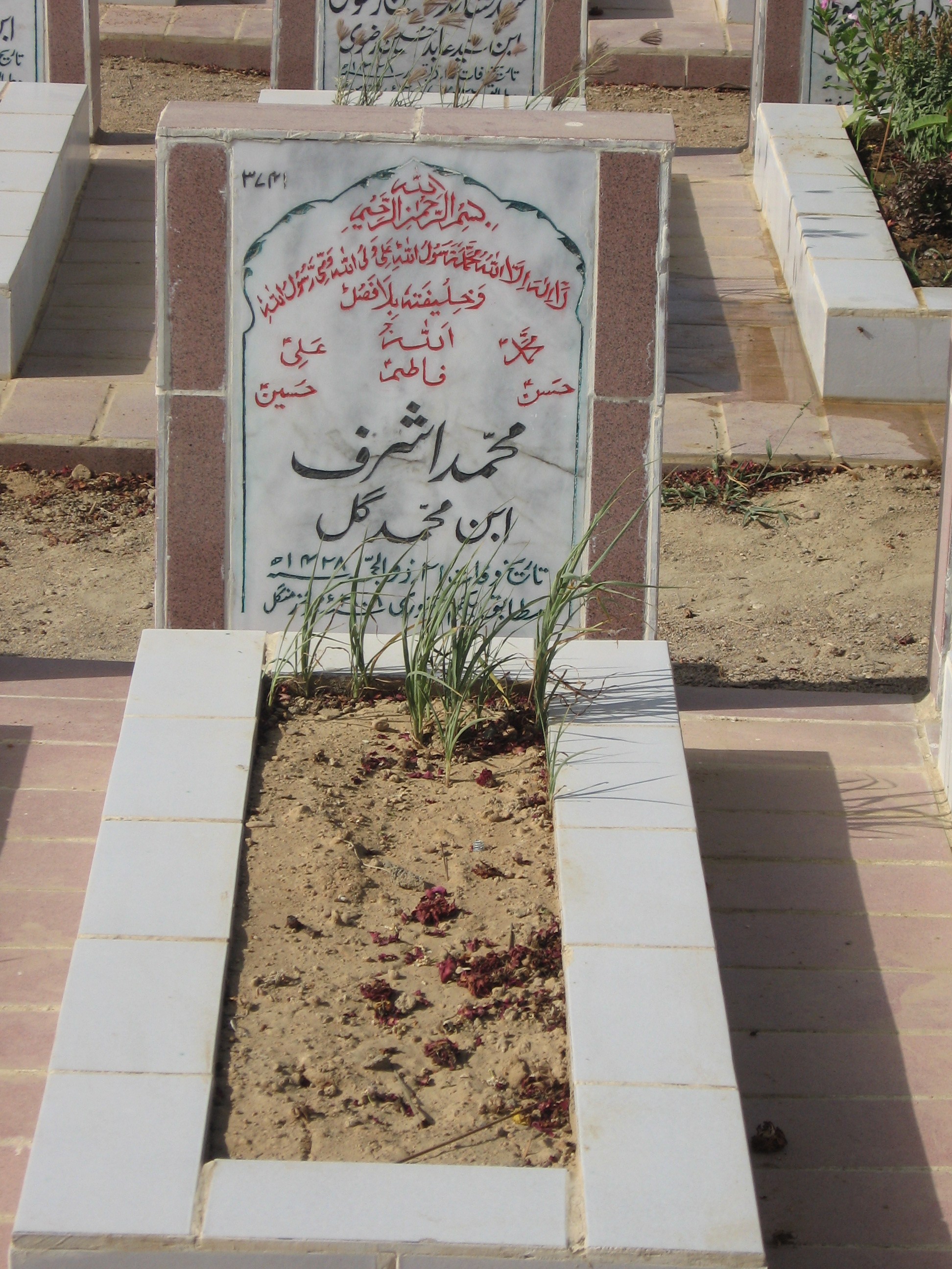 3741 – Muhammad Ashraf