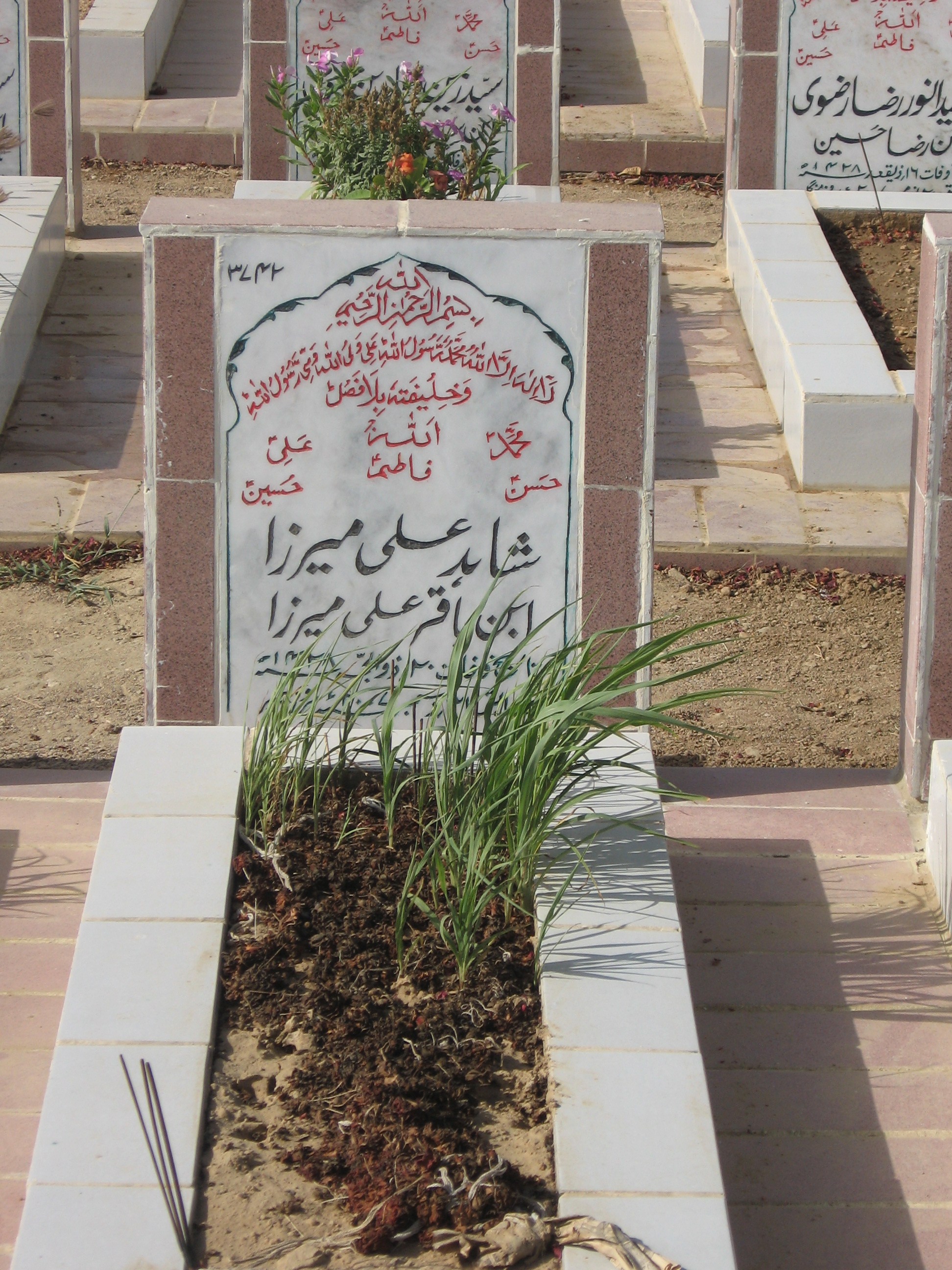 3742 – Shahid Ali Mirza