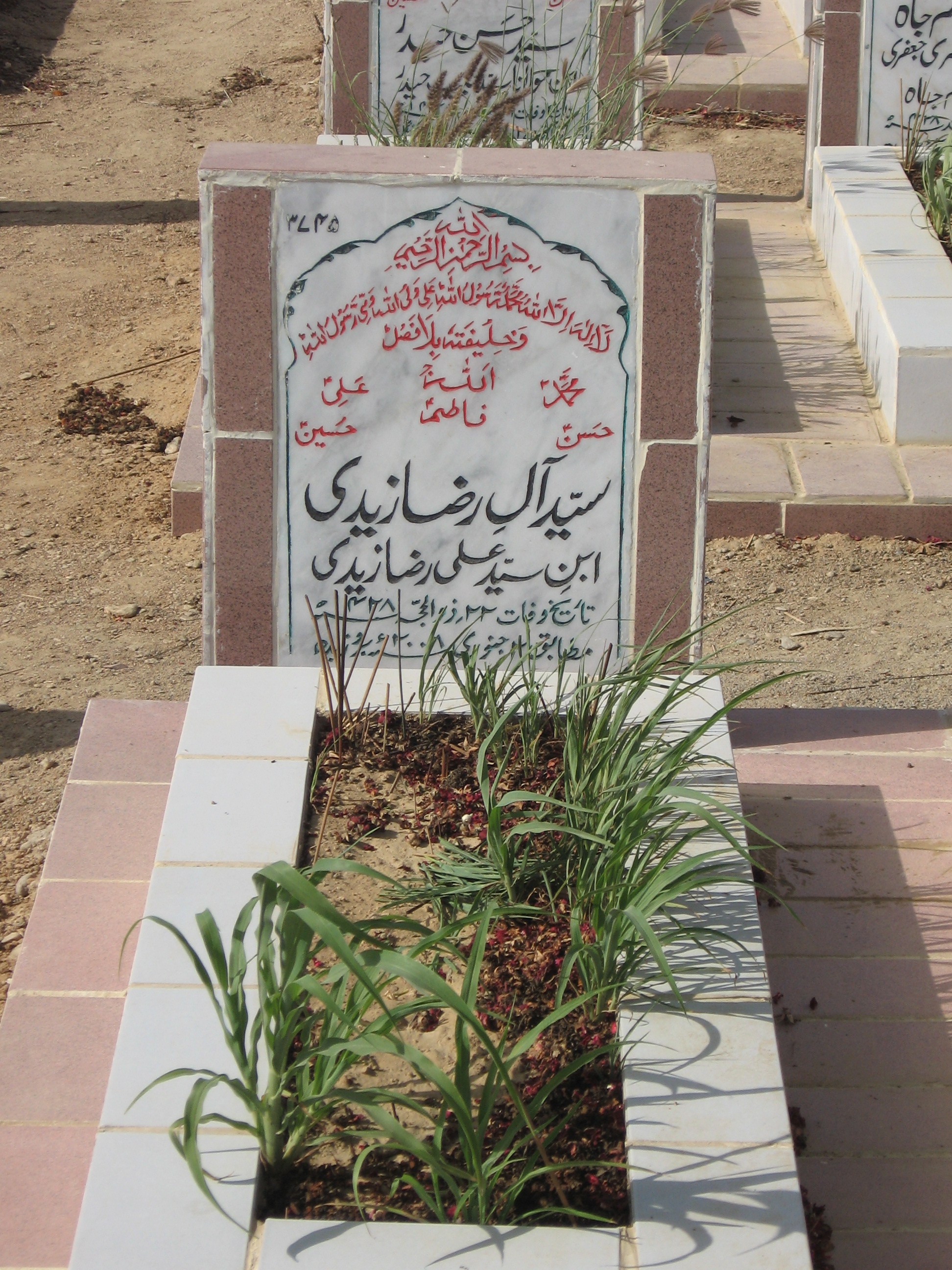 3745 – Syed Ale Raza Zaidi