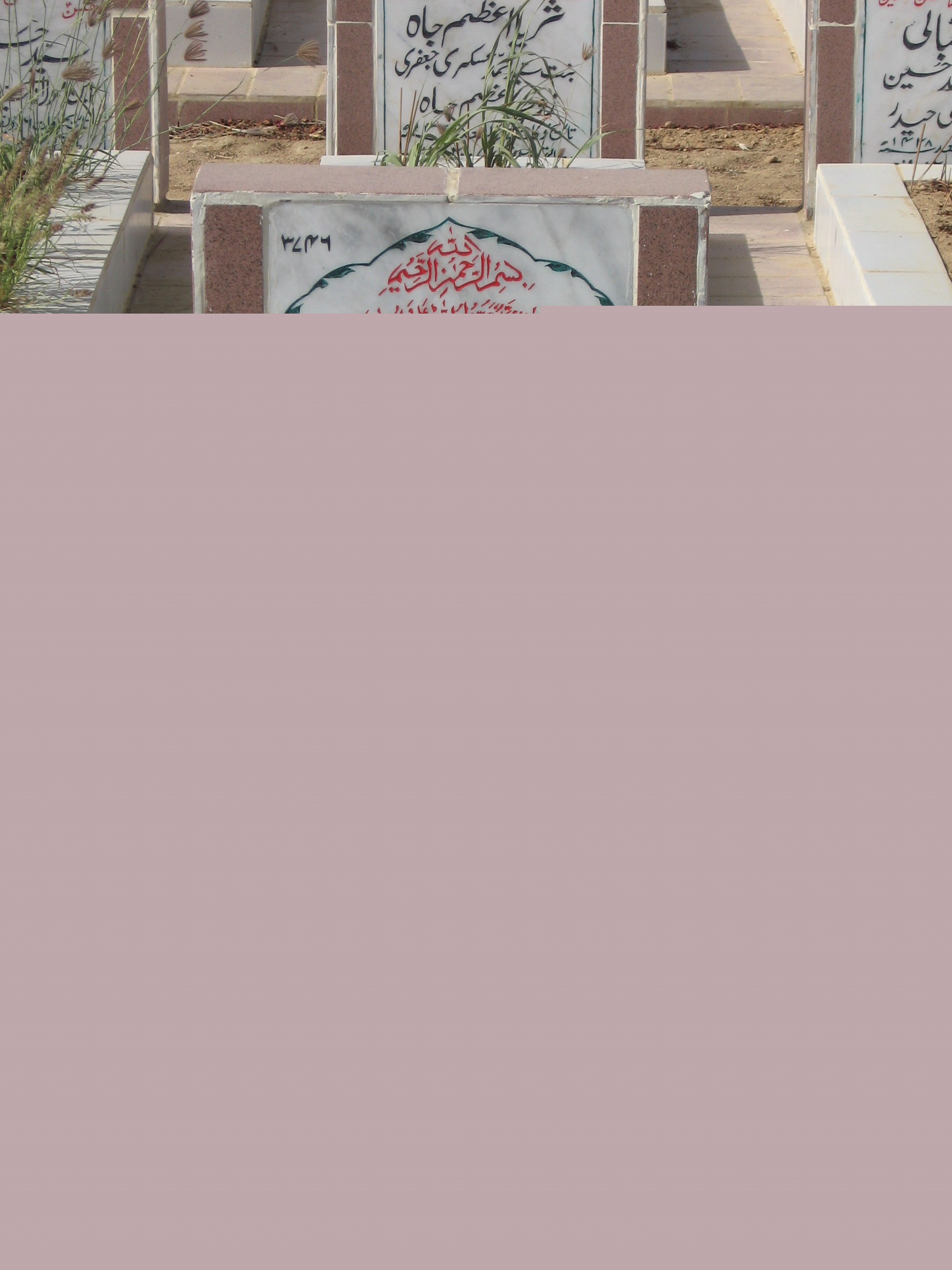 3746 – Syeda Sumbul begum