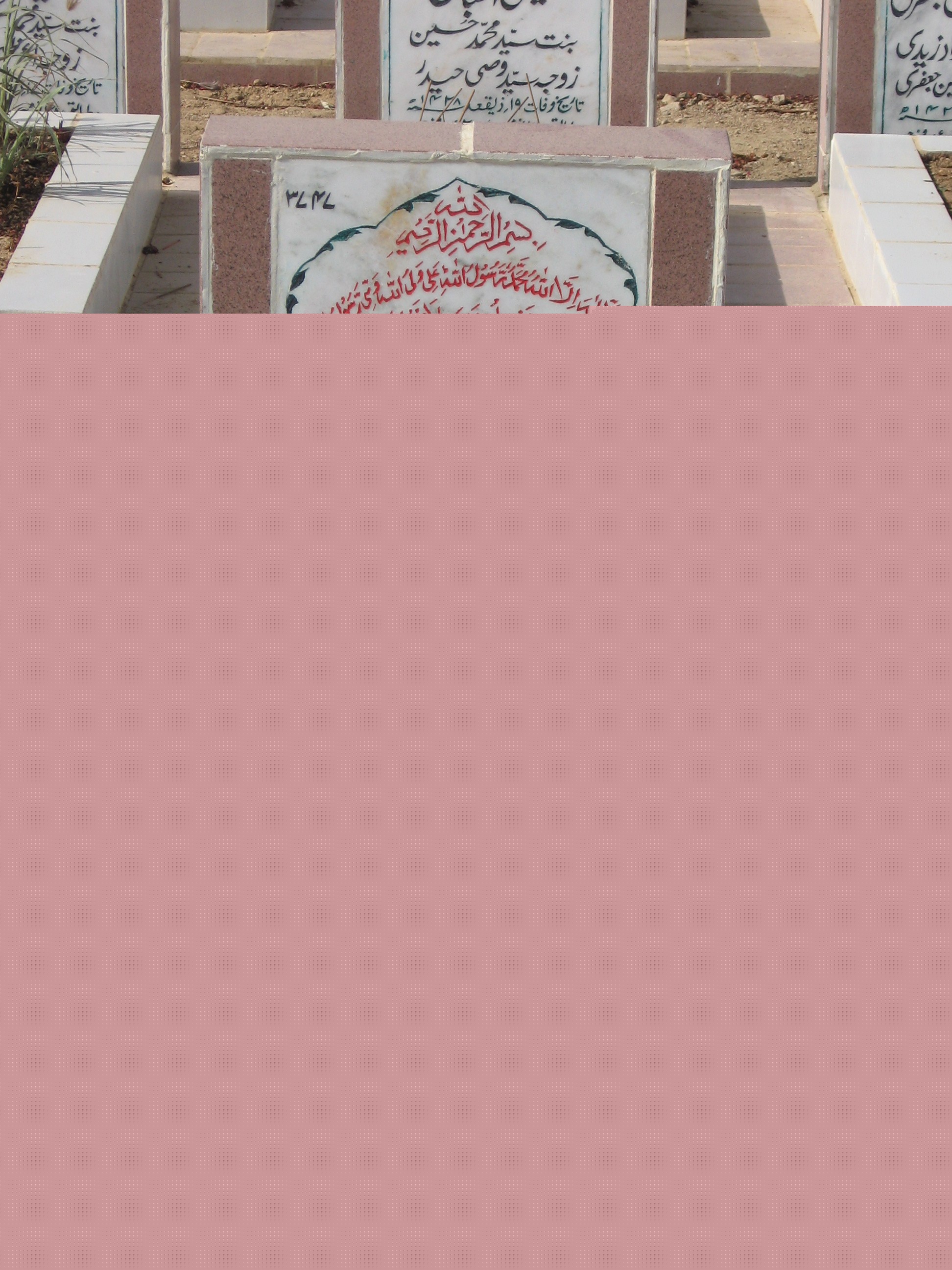 3747 – Syeda Tasneem Fatima