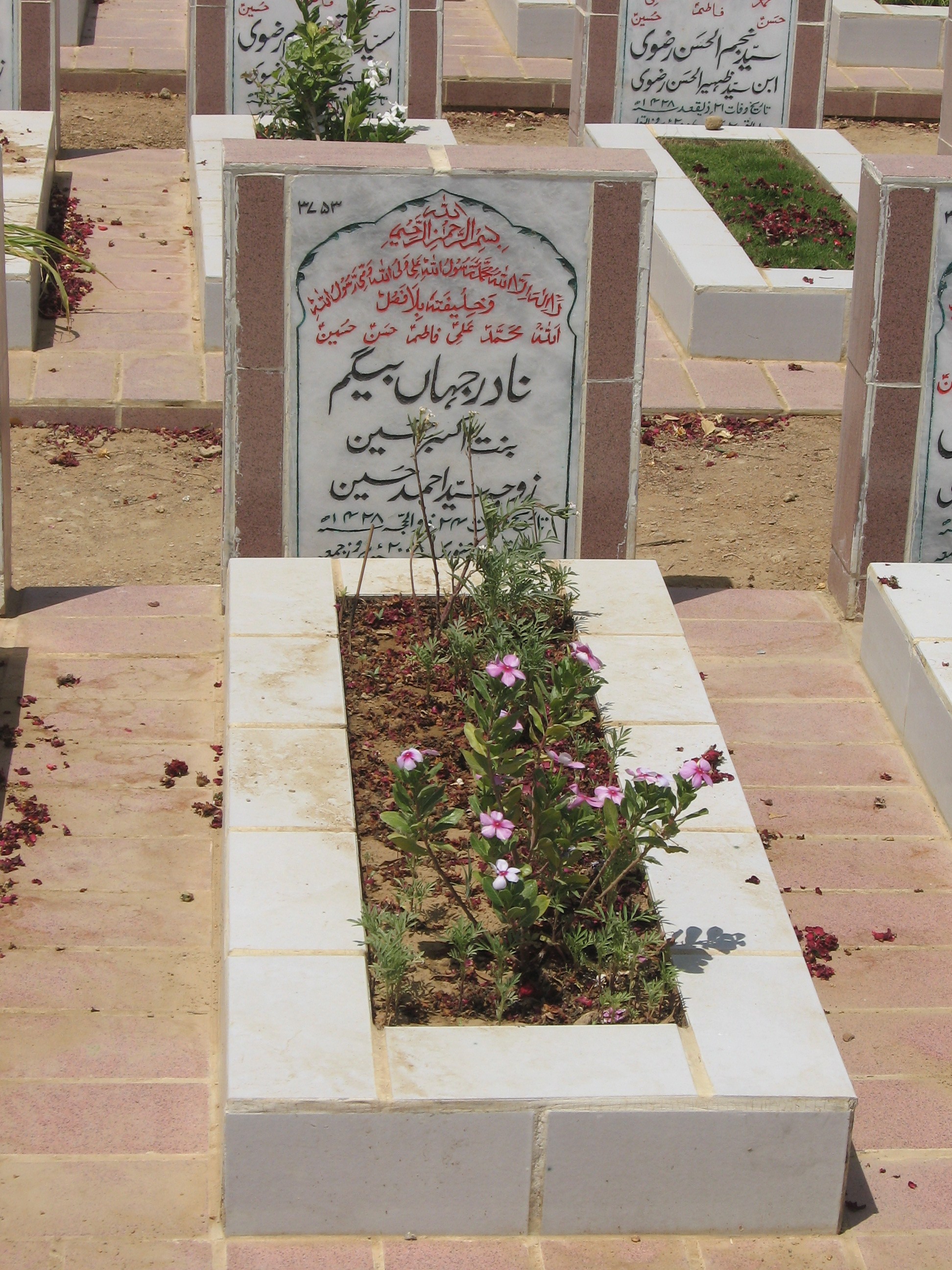 3753 – Nadir Jahan Begum