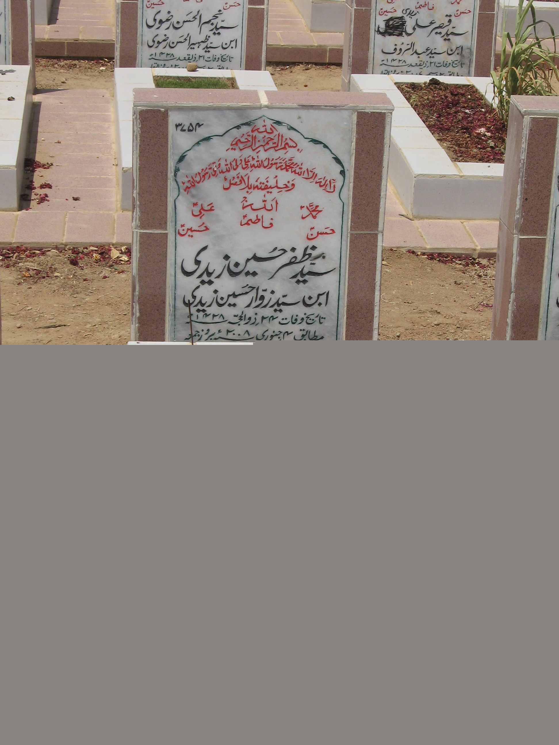 3754 – Syed Zafer Hussain Zaidi