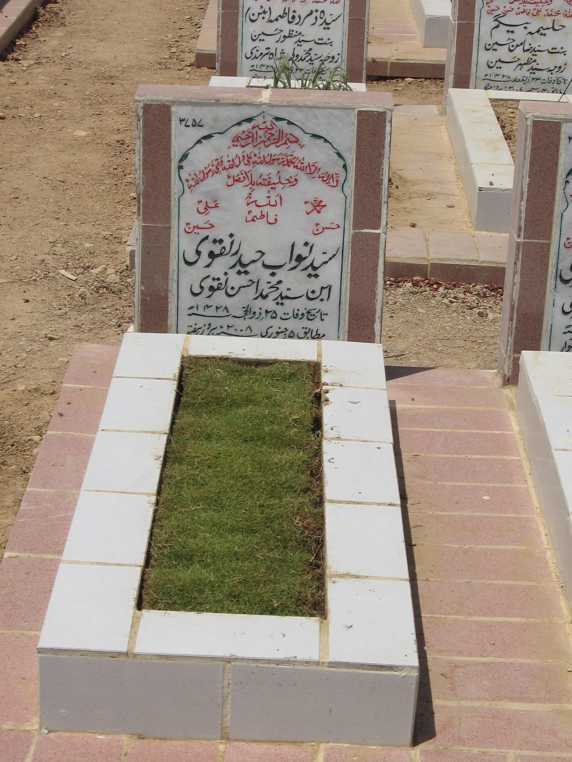 3757 – Syed Nawab Haider Naqvi