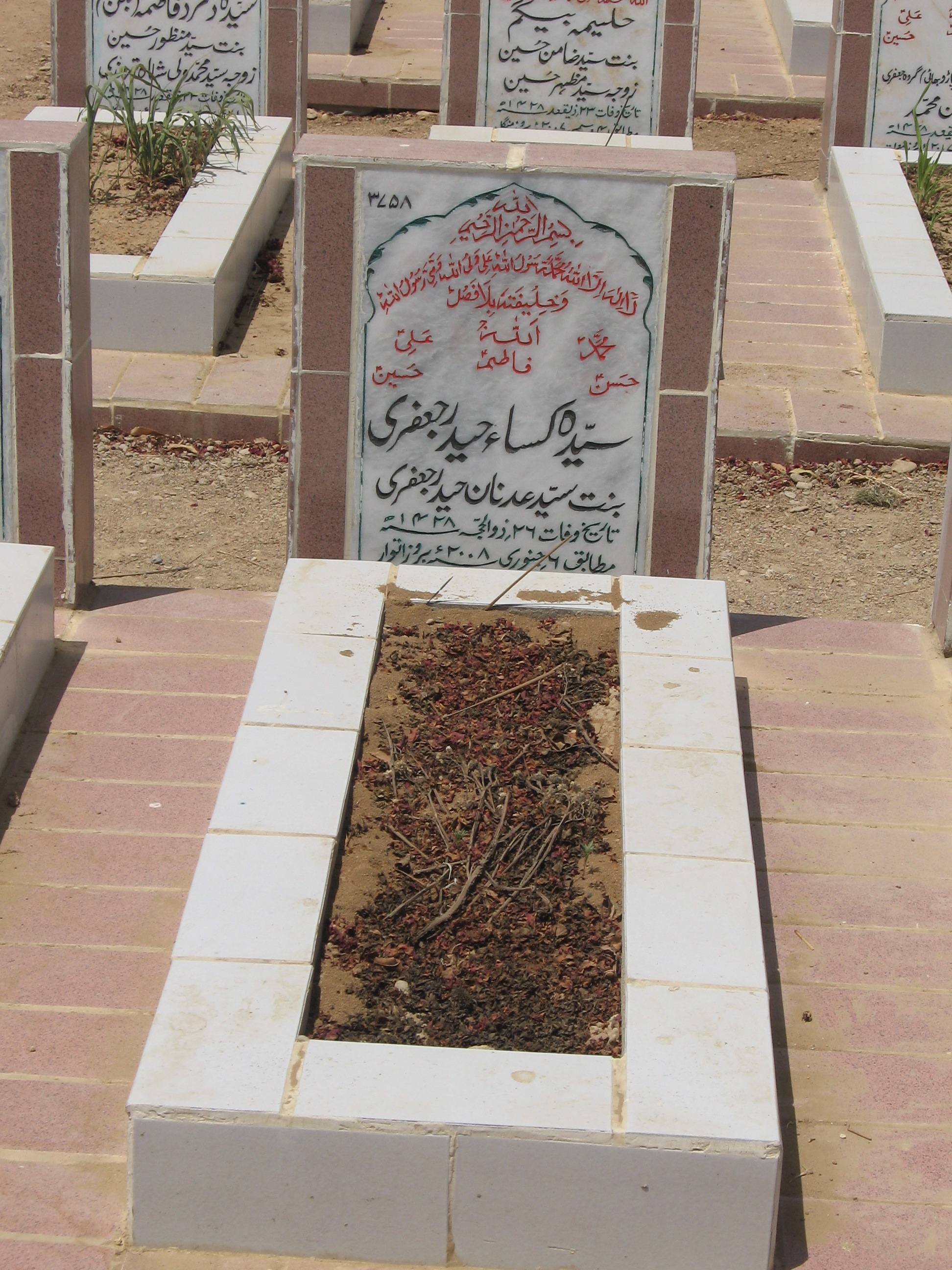 3758 – Syeda Kisaa Haider Jaffri