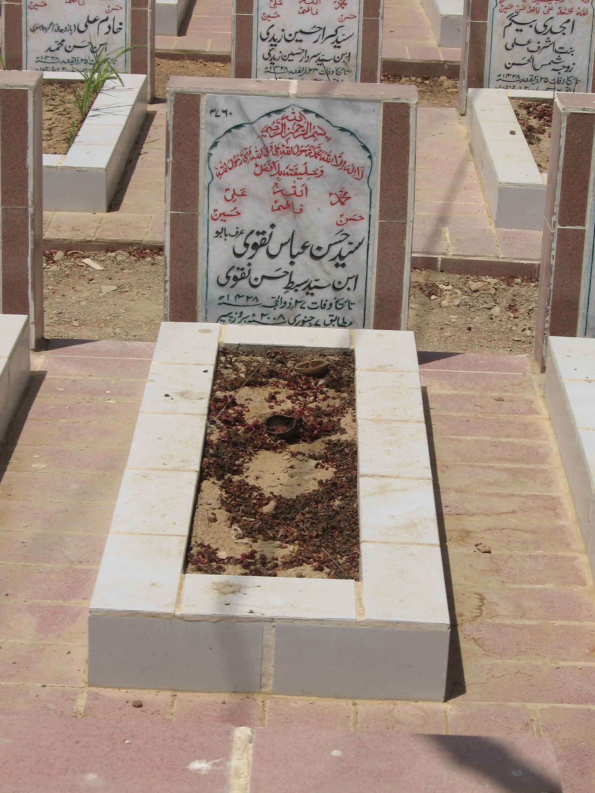 3760 – Syed Hassan Abbas Naqvi(Babu)