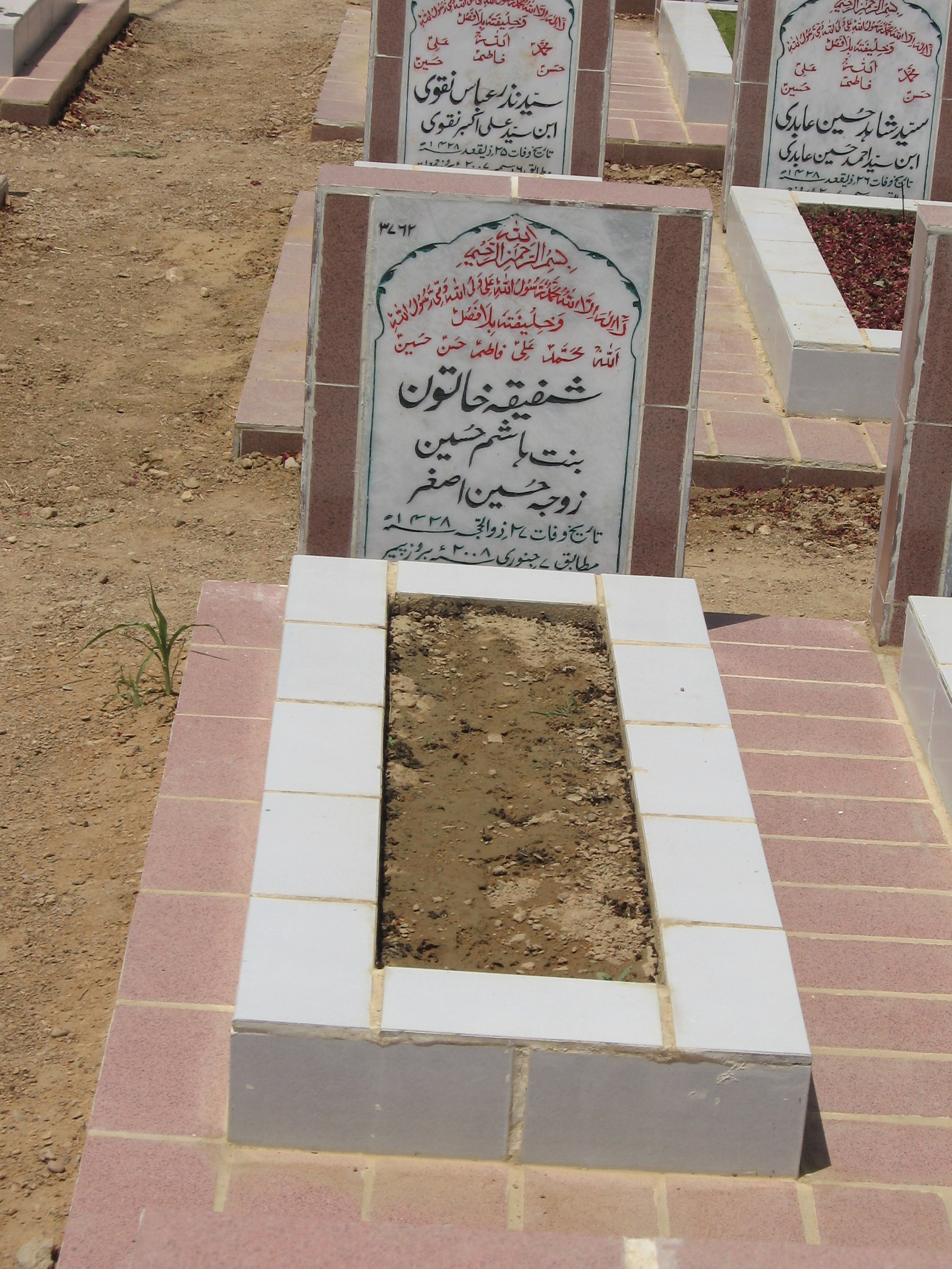 3762 – Shafiqa Khatoon