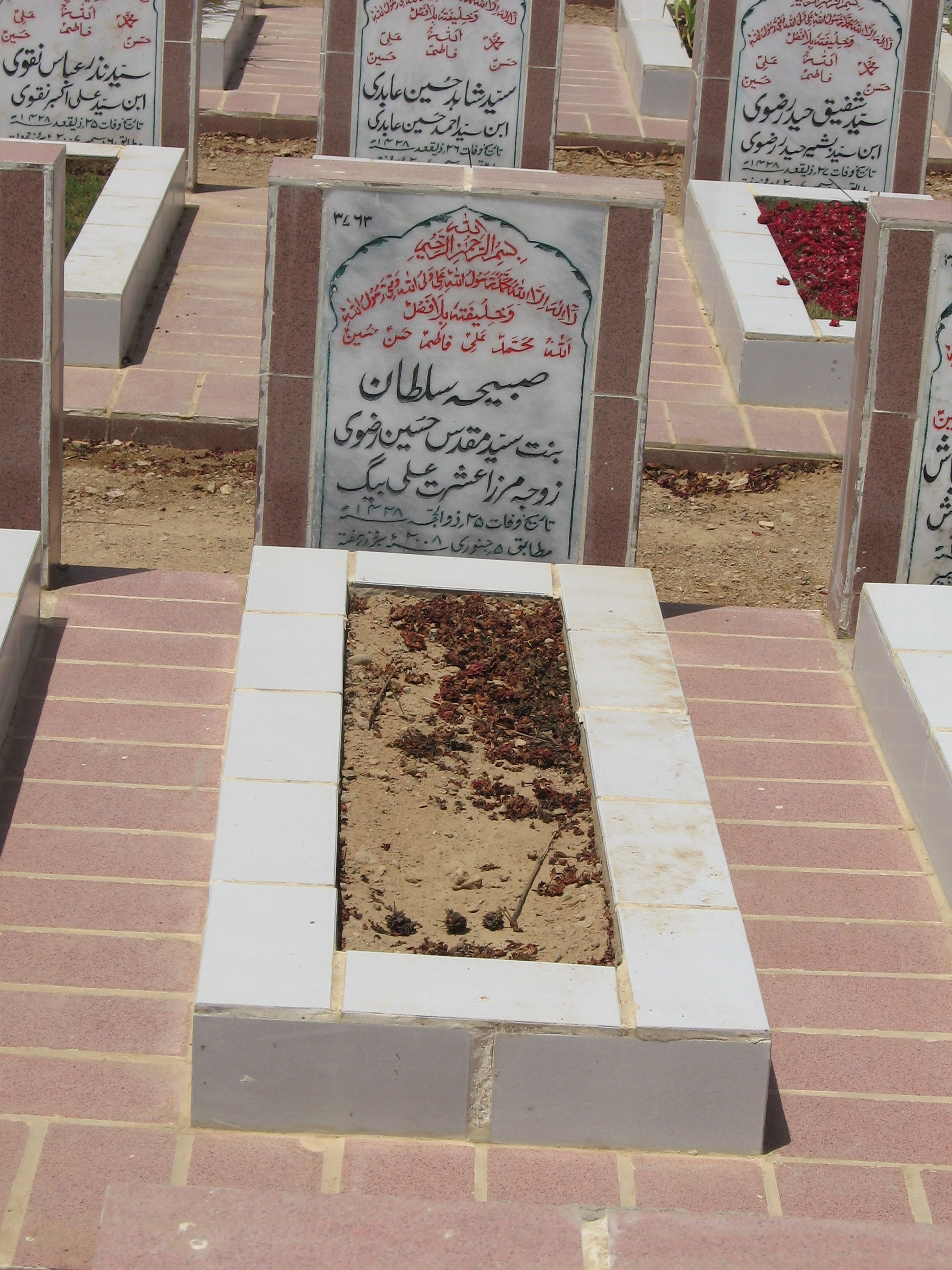 3763 – Sabiha Sultan