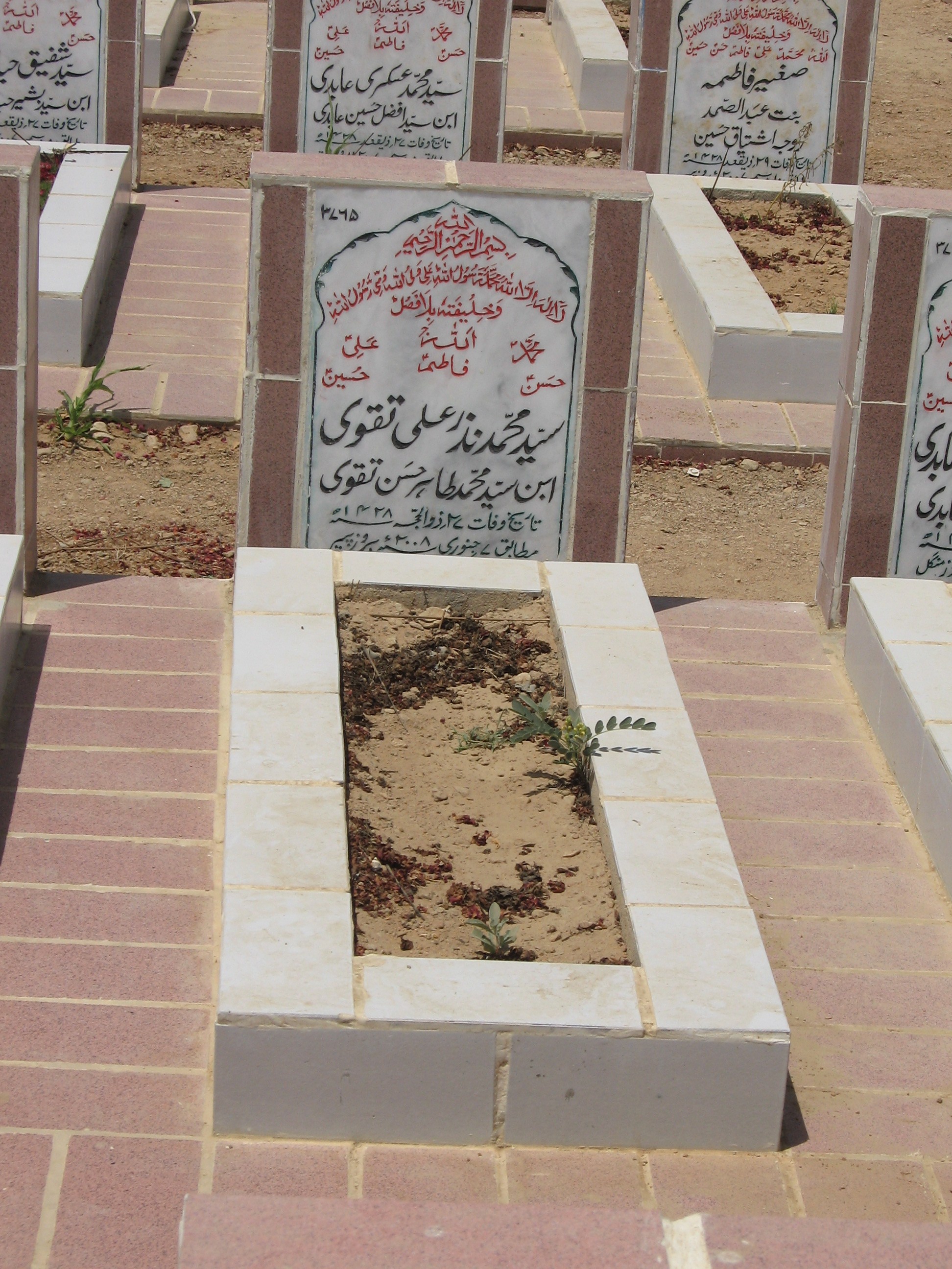 3765 – Syed Muhammad Nazar Ali Taqvii