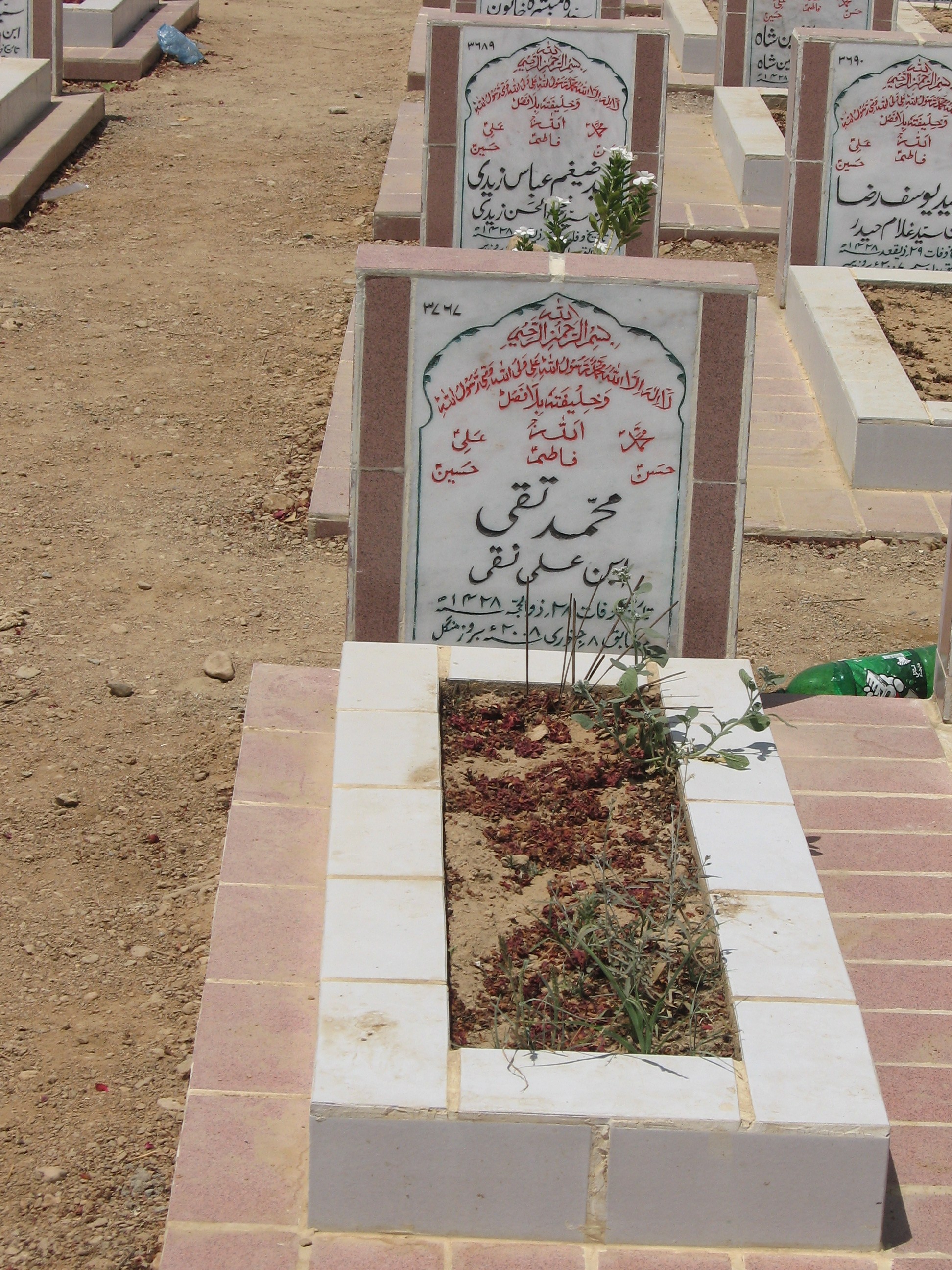 3767 – Muhammad Taqi