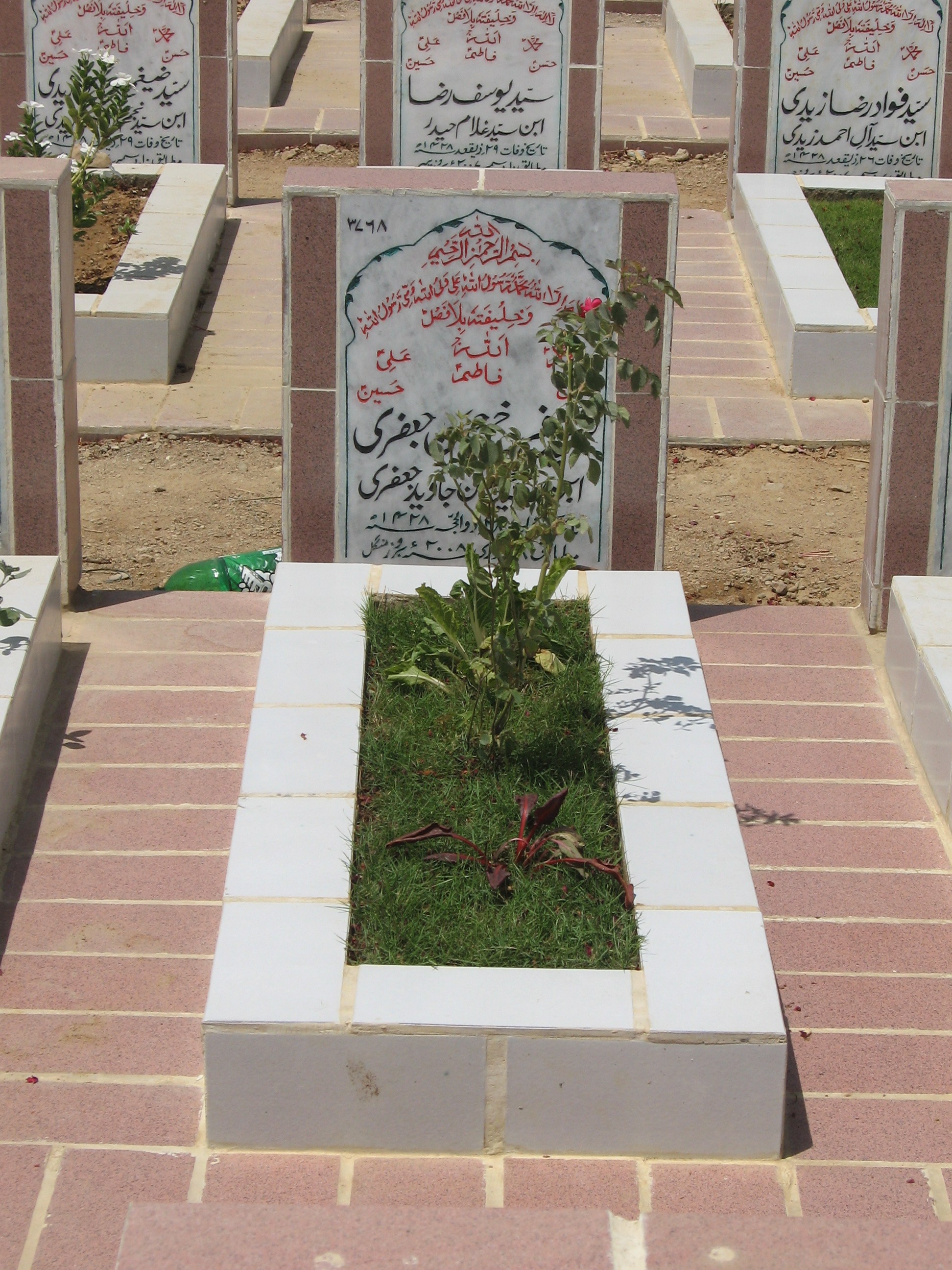 3768 – Syed farrukh Hassan Jaffri