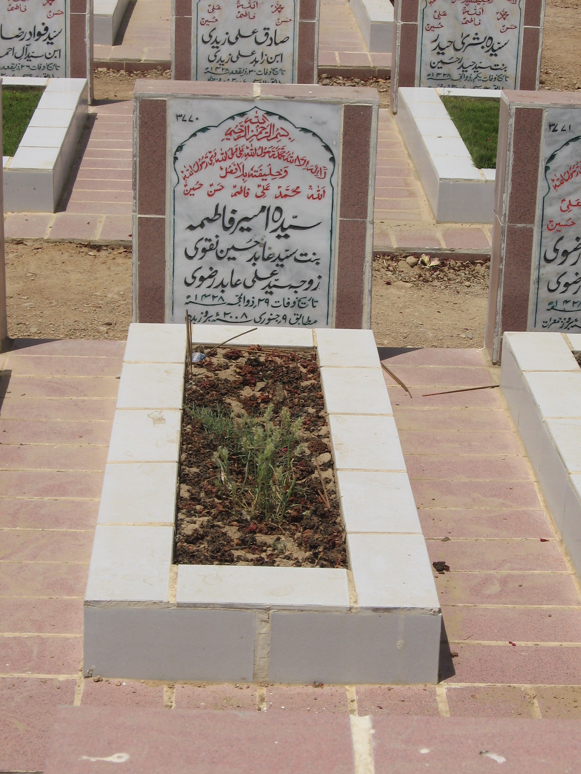 3770 – Syeda Ameer Fatima