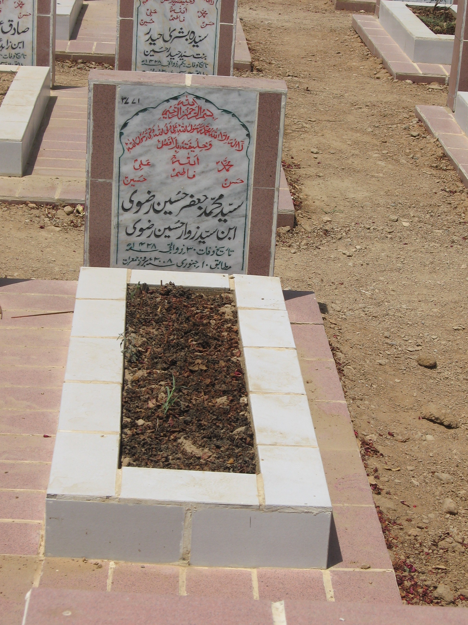 3771 – Syed Muhammad Jaffer Hussain Rizvi