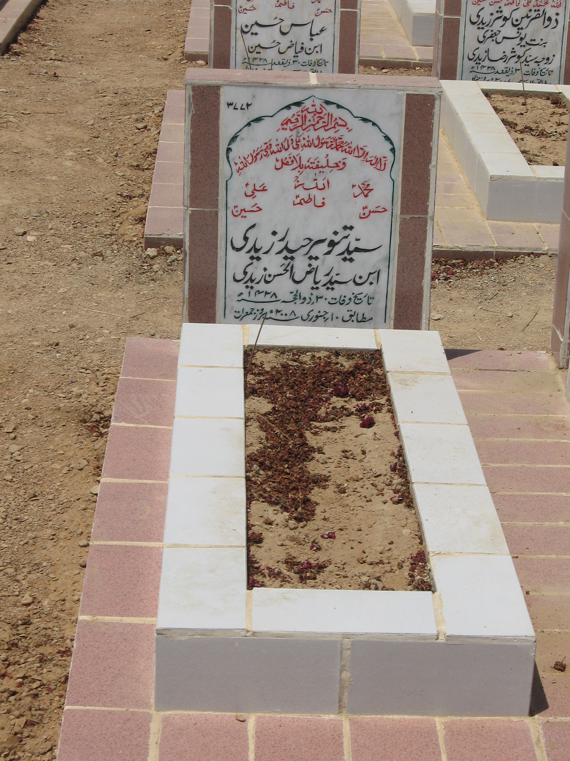 3772 – Syed Tanveer Haider Zaidi